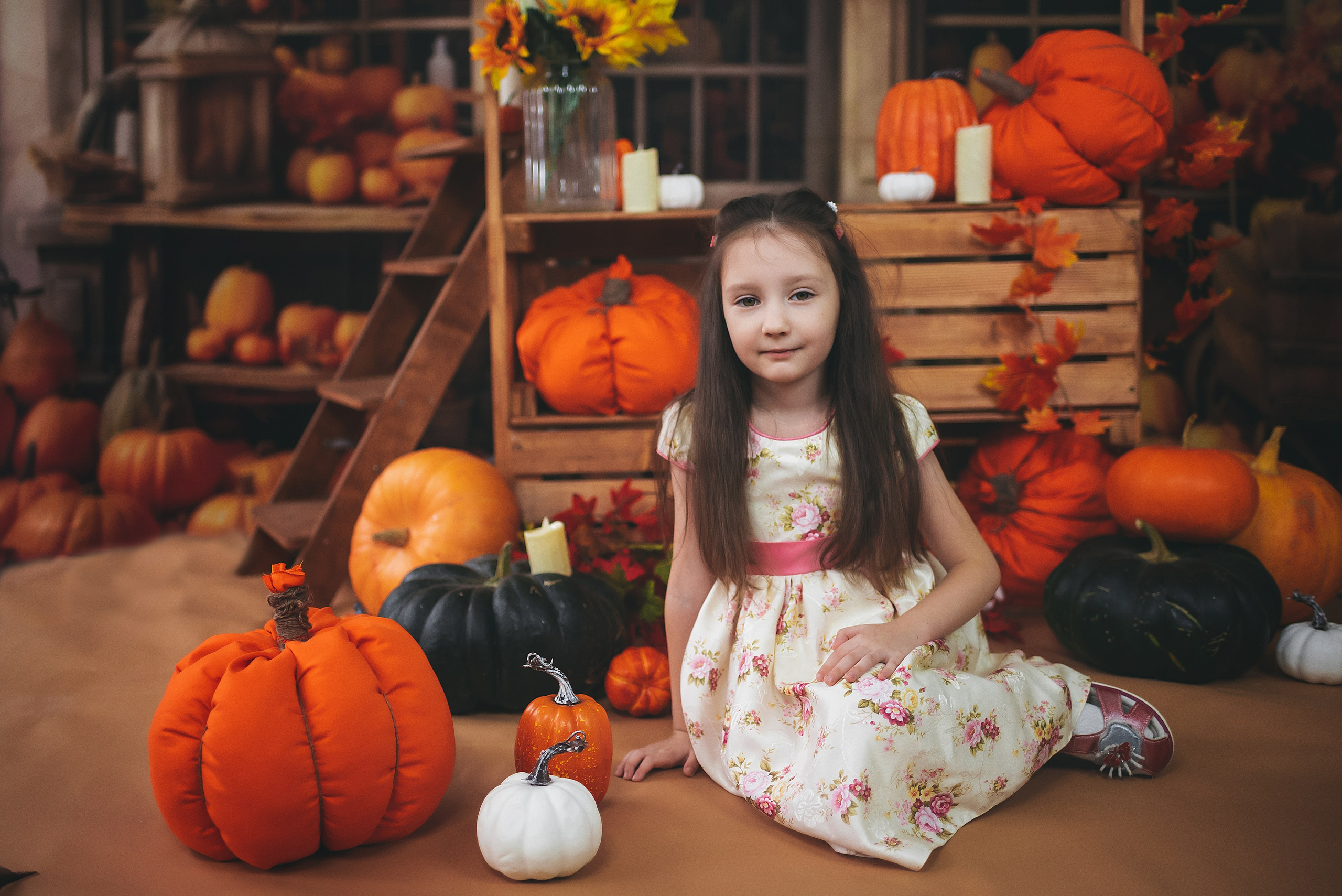 ПРОЕКТ осенний «Тыковки». Семейный и детский фотограф в Тейково