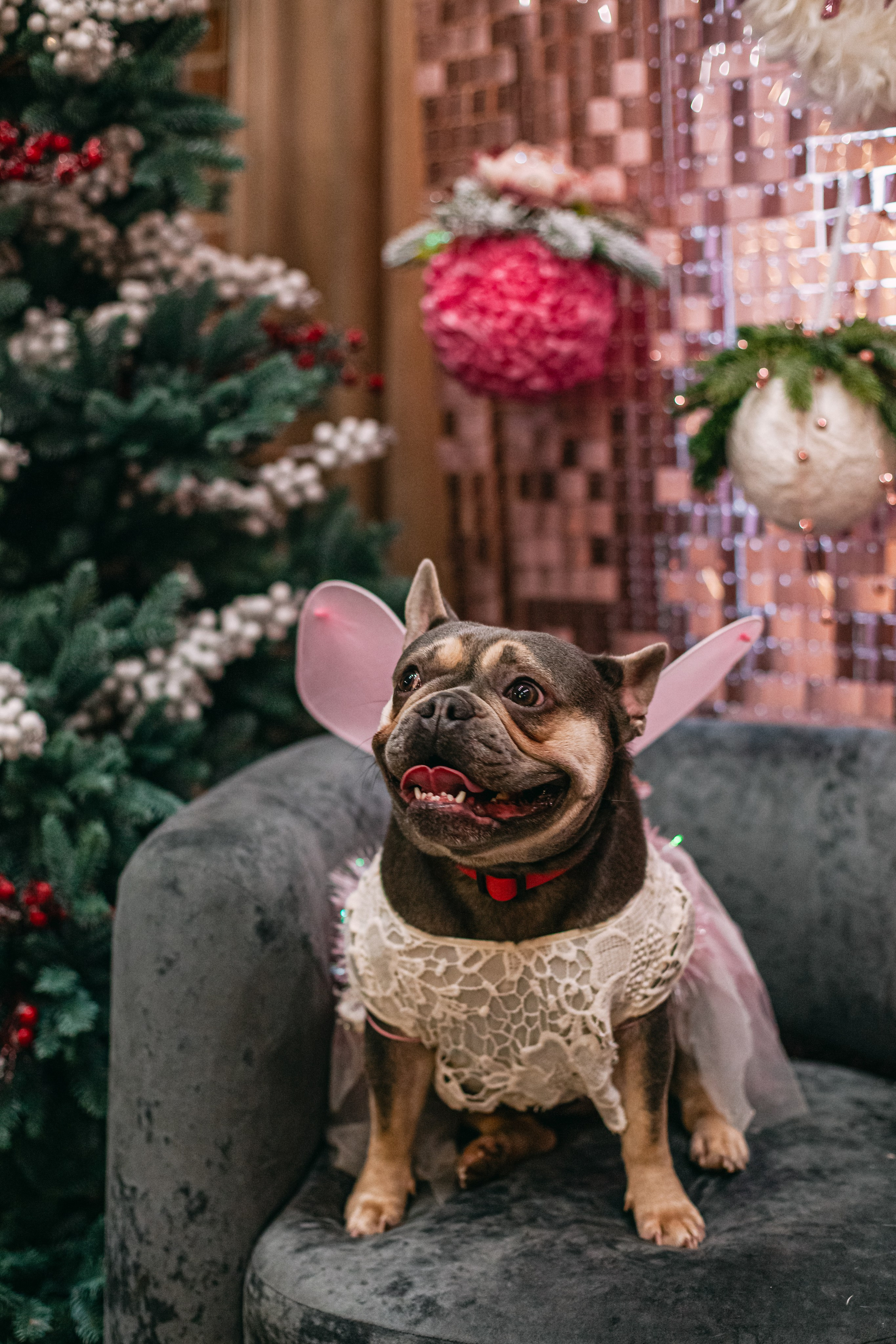 Бульёлка 2024. Фотограф-анималист Татьяна Степанова