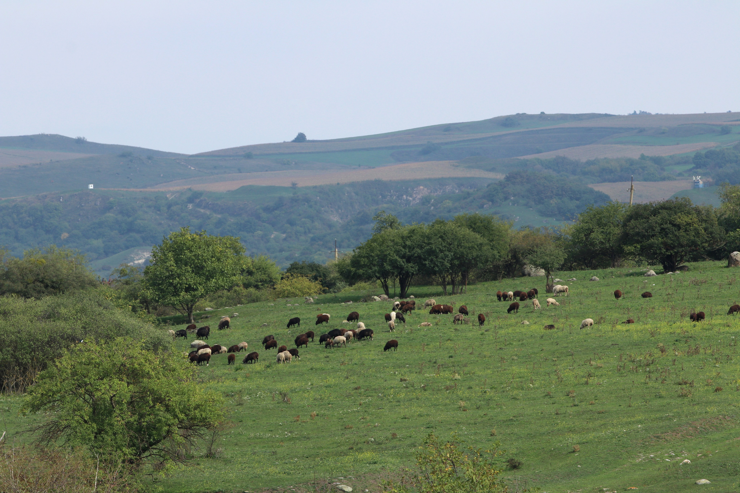 Приэльбрусье. Сентябрь 2024. Путешественник-фотограф из Санкт-Петербурга Татьяна Свистулина