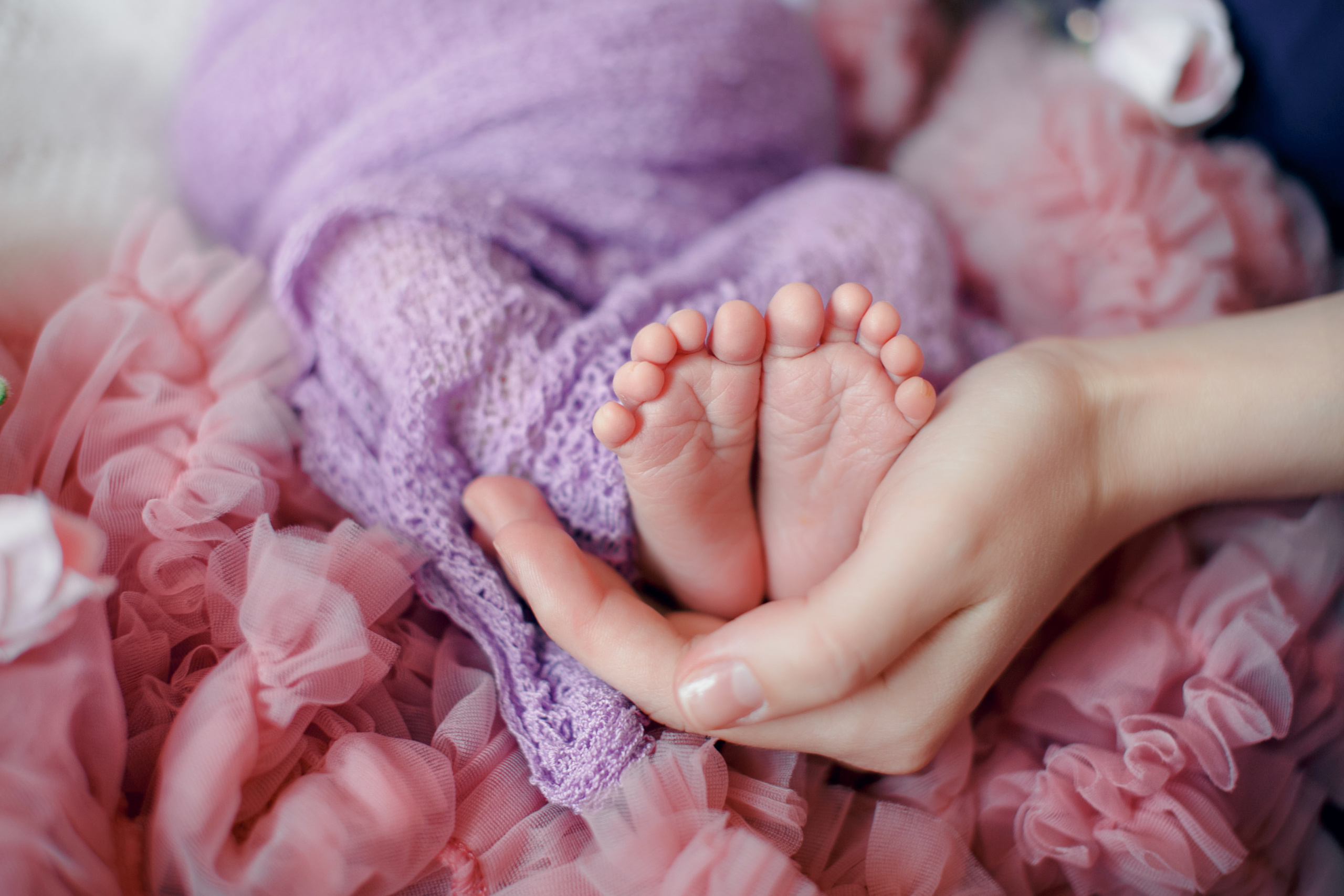 Семейный. Свадебный и семейный фотограф в Краснодаре Марина Фалевич. Свадебная ф