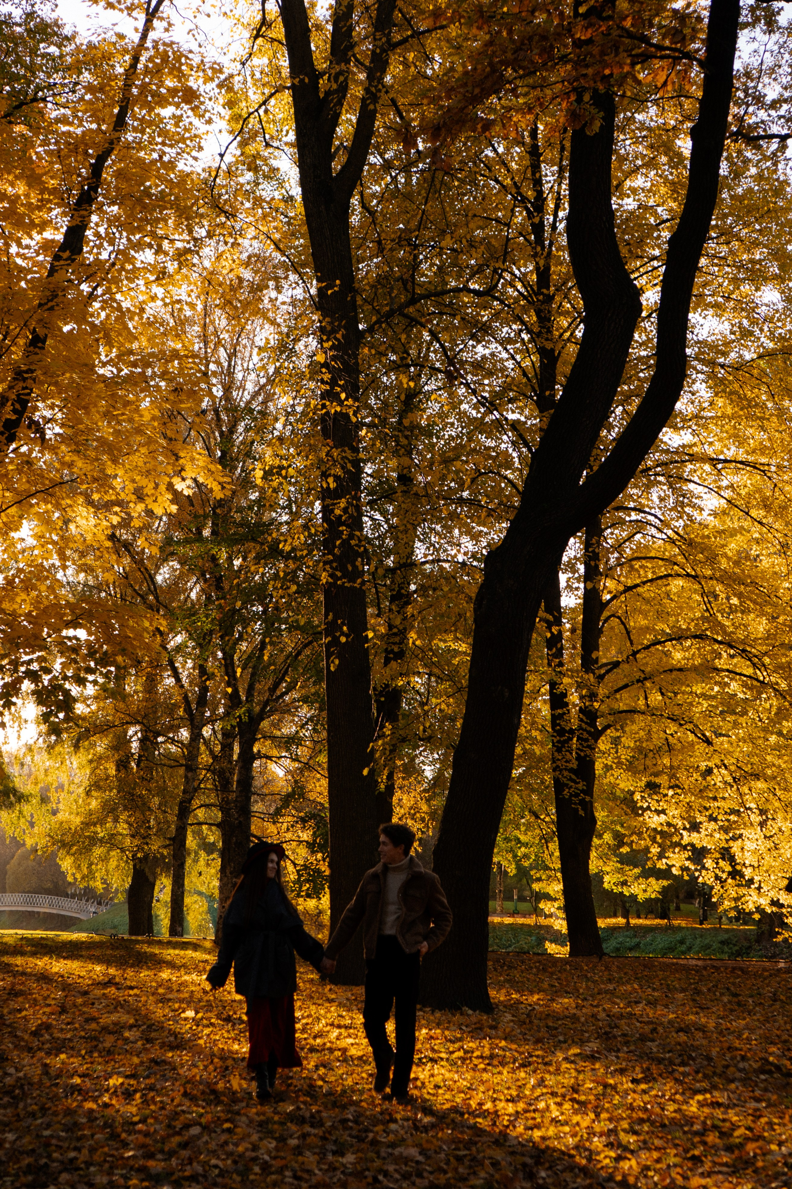 ОСЕННЯЯ ПРОГУЛКА. Профессиональный фотограф, Санкт-Петербург — Виктория Богомолова