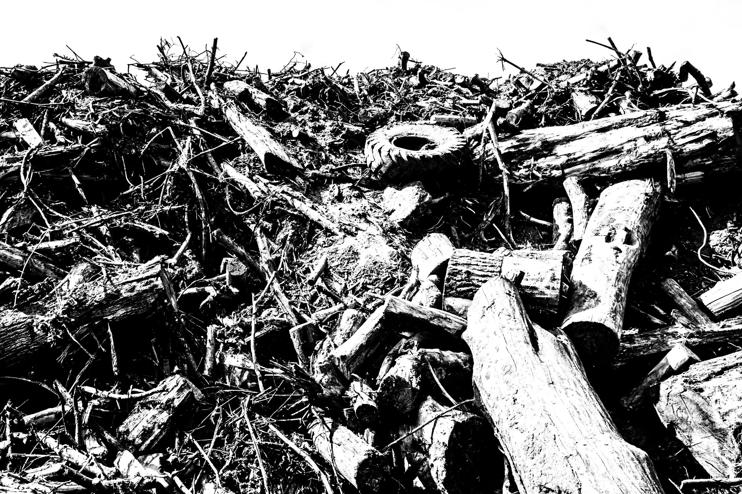 Самые черные фотографии. Артём Линейцев, фотограф