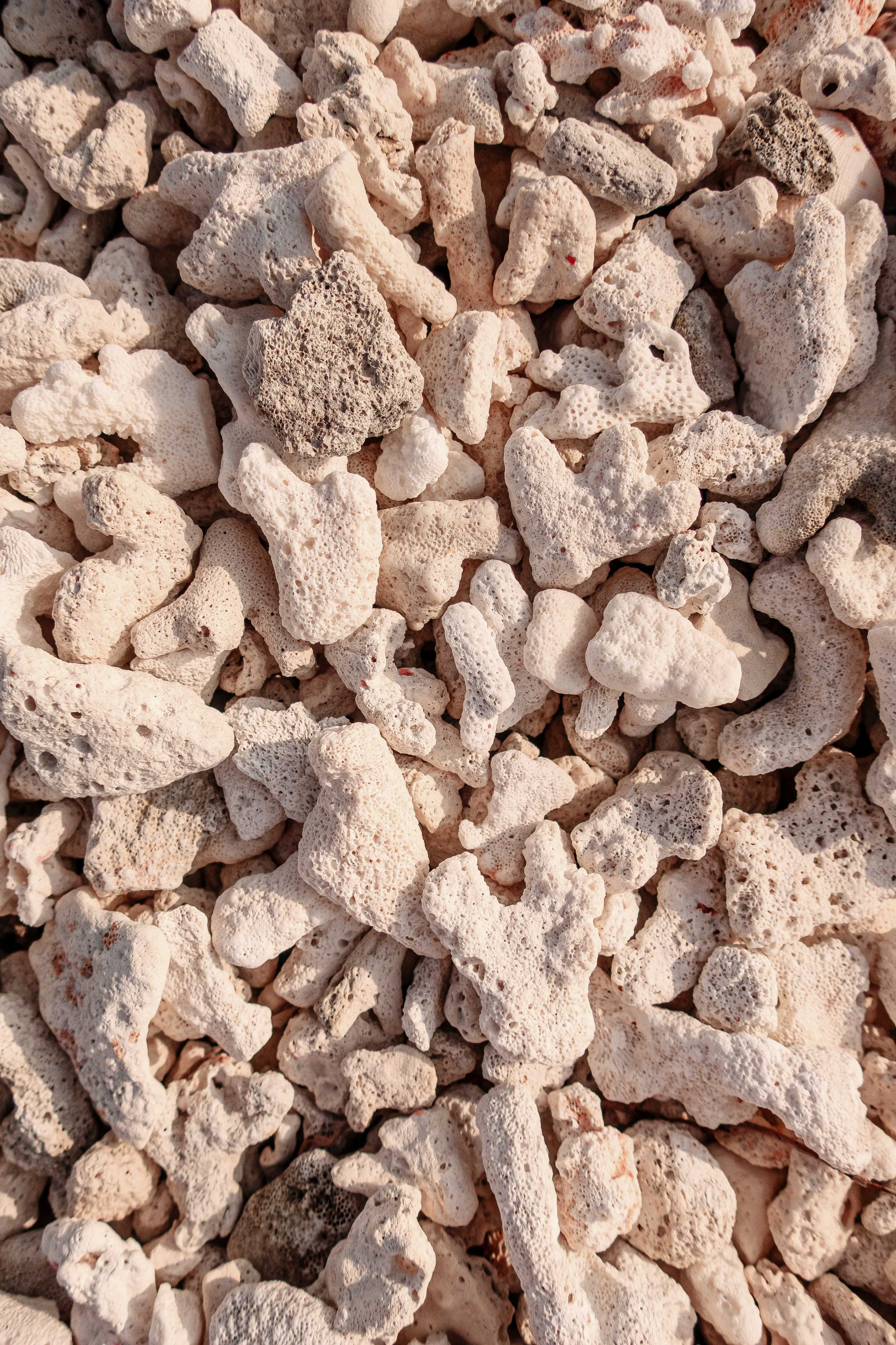 О.Тулусду. Мальдивы. Фотограф Светлана Голицына