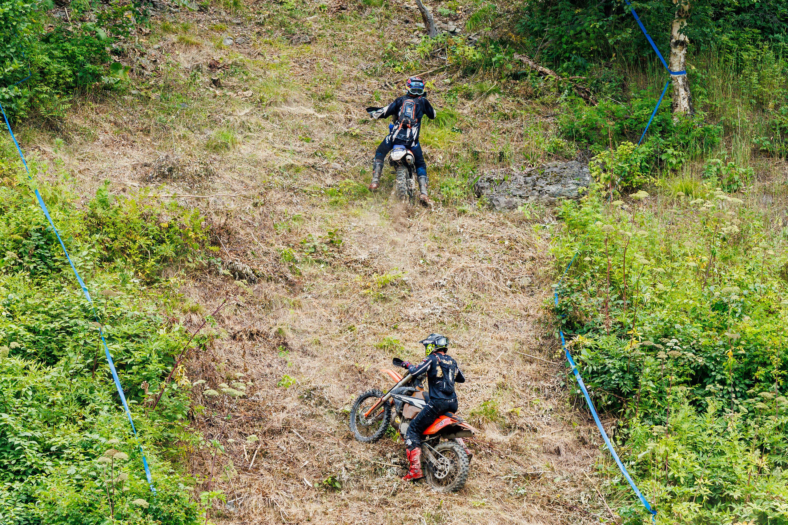NPR-2025. Свадебный, семейный и репортажный фотограф в Южно-Сахалинске Артур Петросян