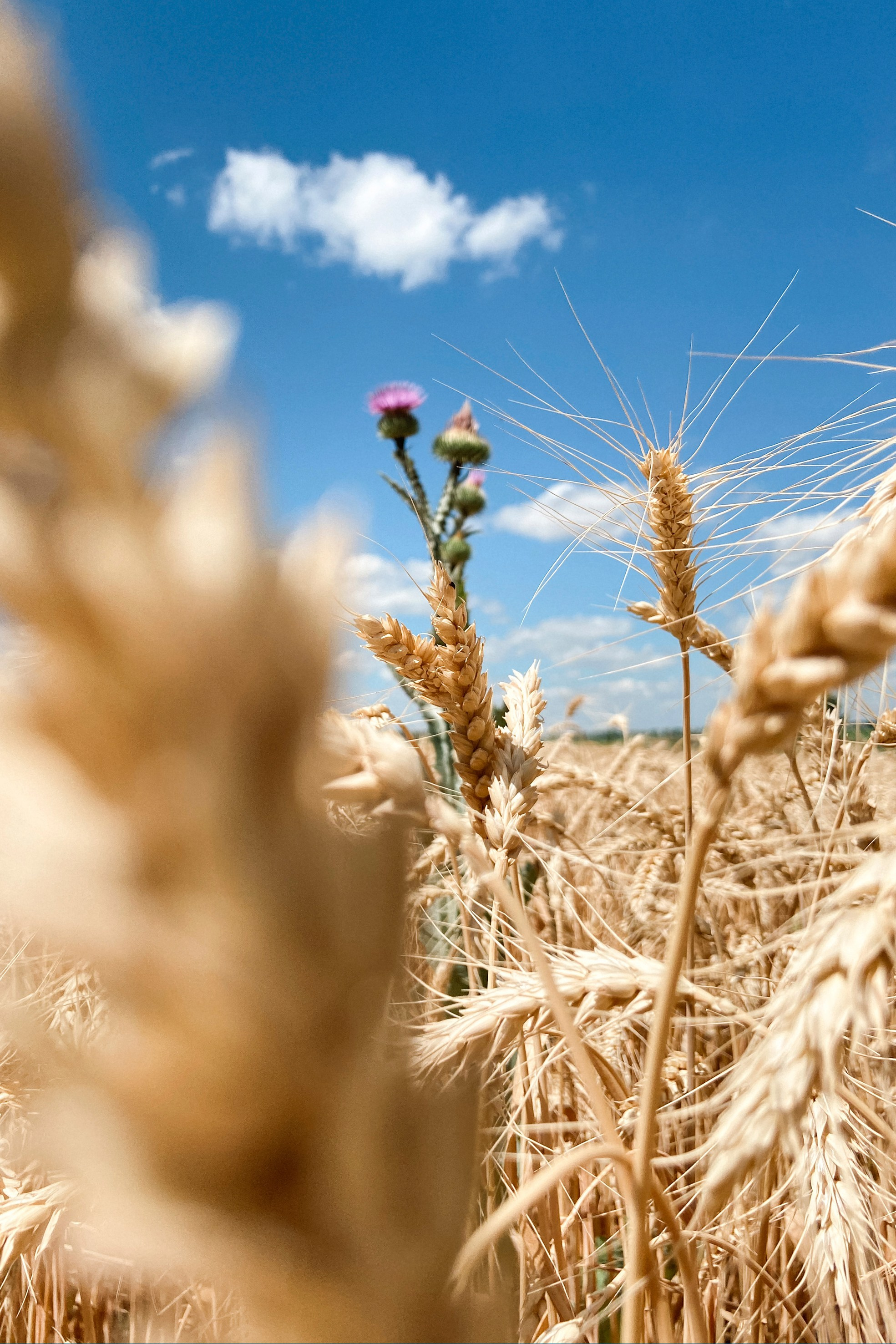 Природа. Команда фотографов Кристины Ивановой