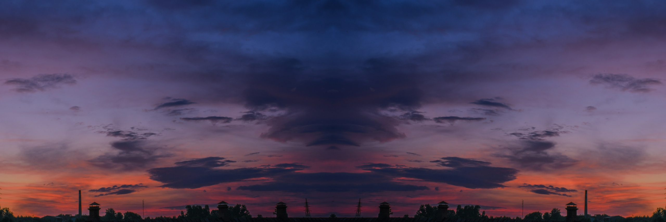 Urban flowers. Арт — фотограф Евгений Наймушин Новокузнецк