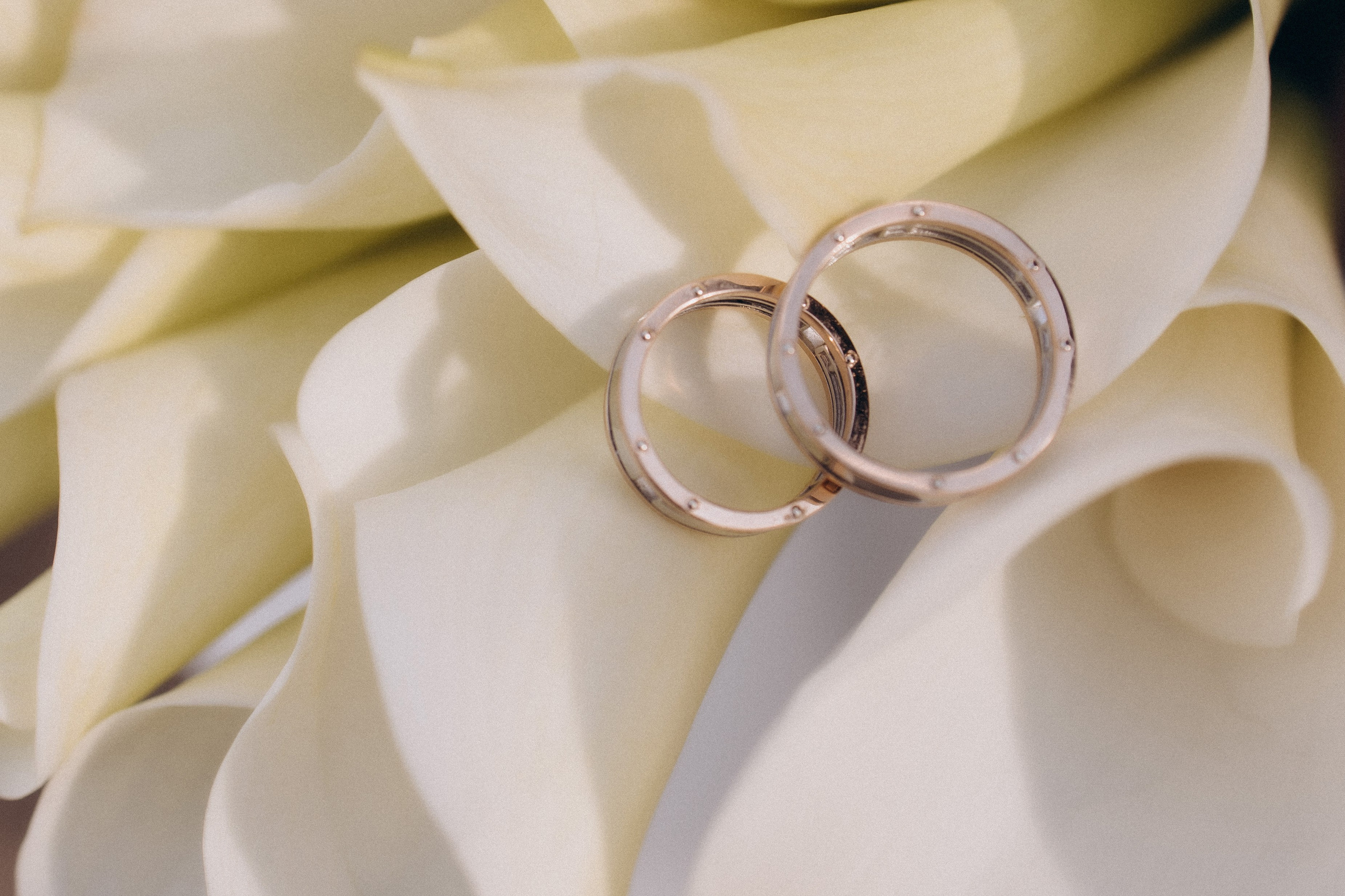 Фотограф Иваново Арина Кудаярова