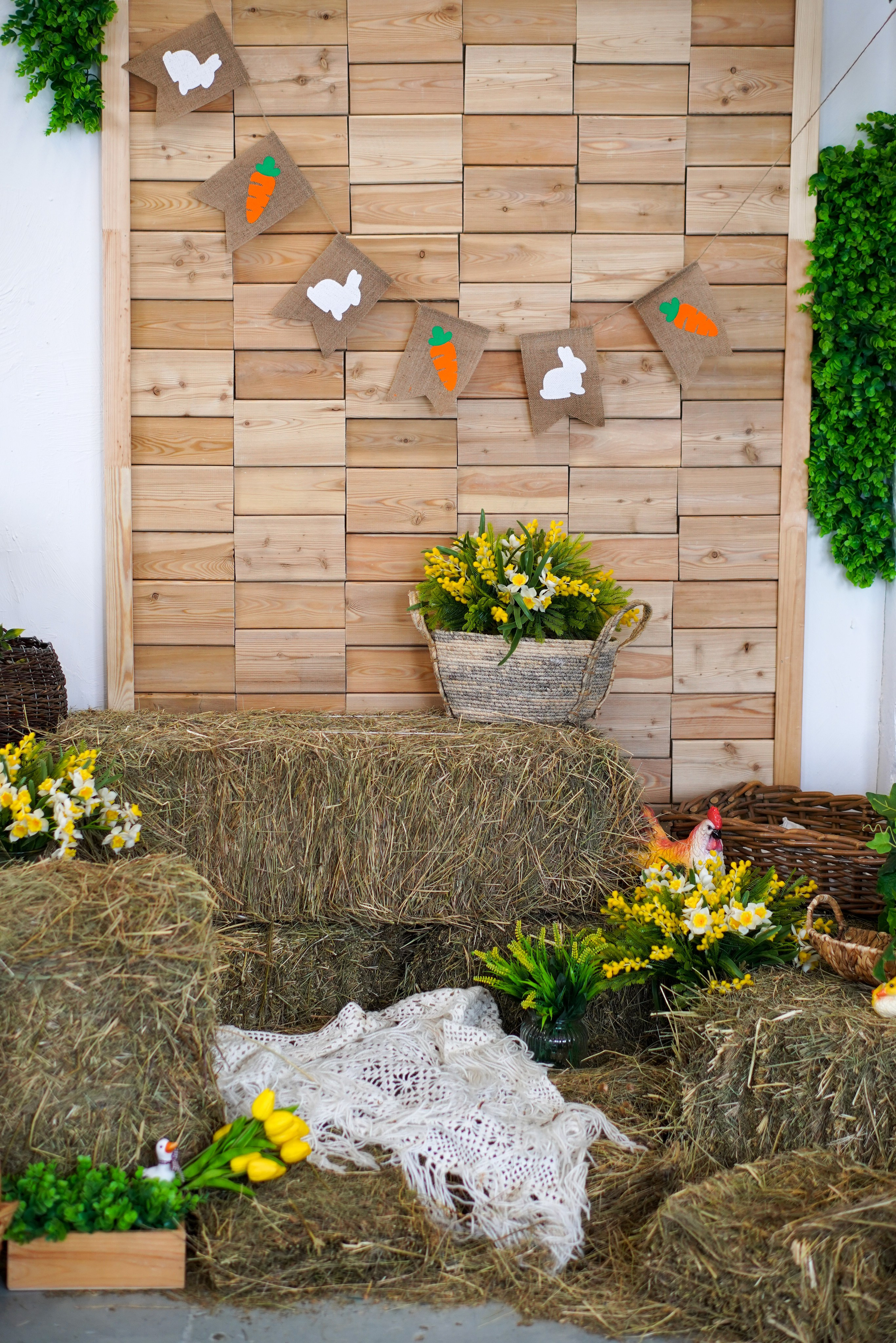 Зал Life фотостудия Импульс. Фотостудия в Саратове. Фотограф в Саратове