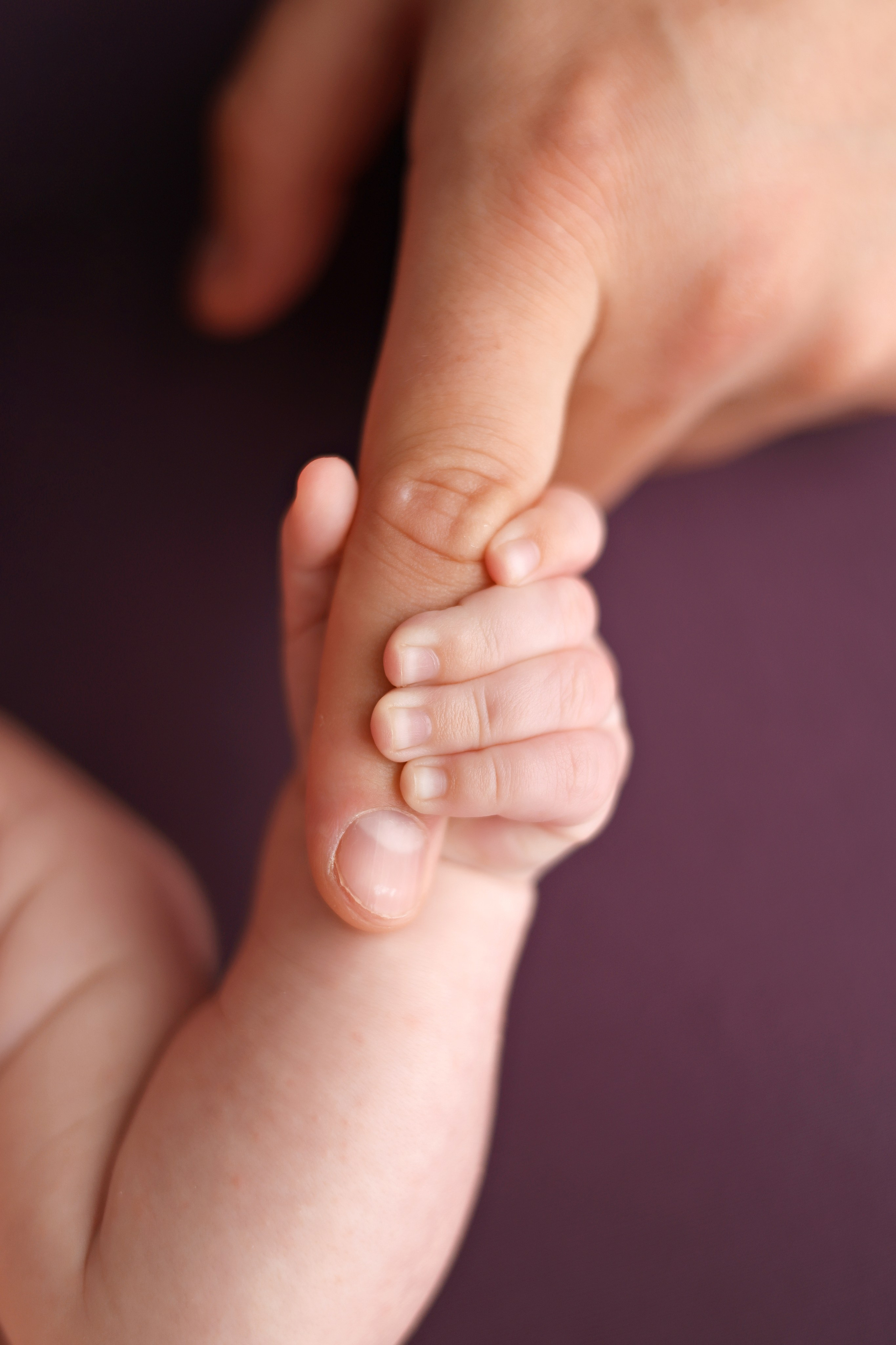 Софие 2 месяца. Фотограф новорожденных Москва. Ньюборн фотограф Москва