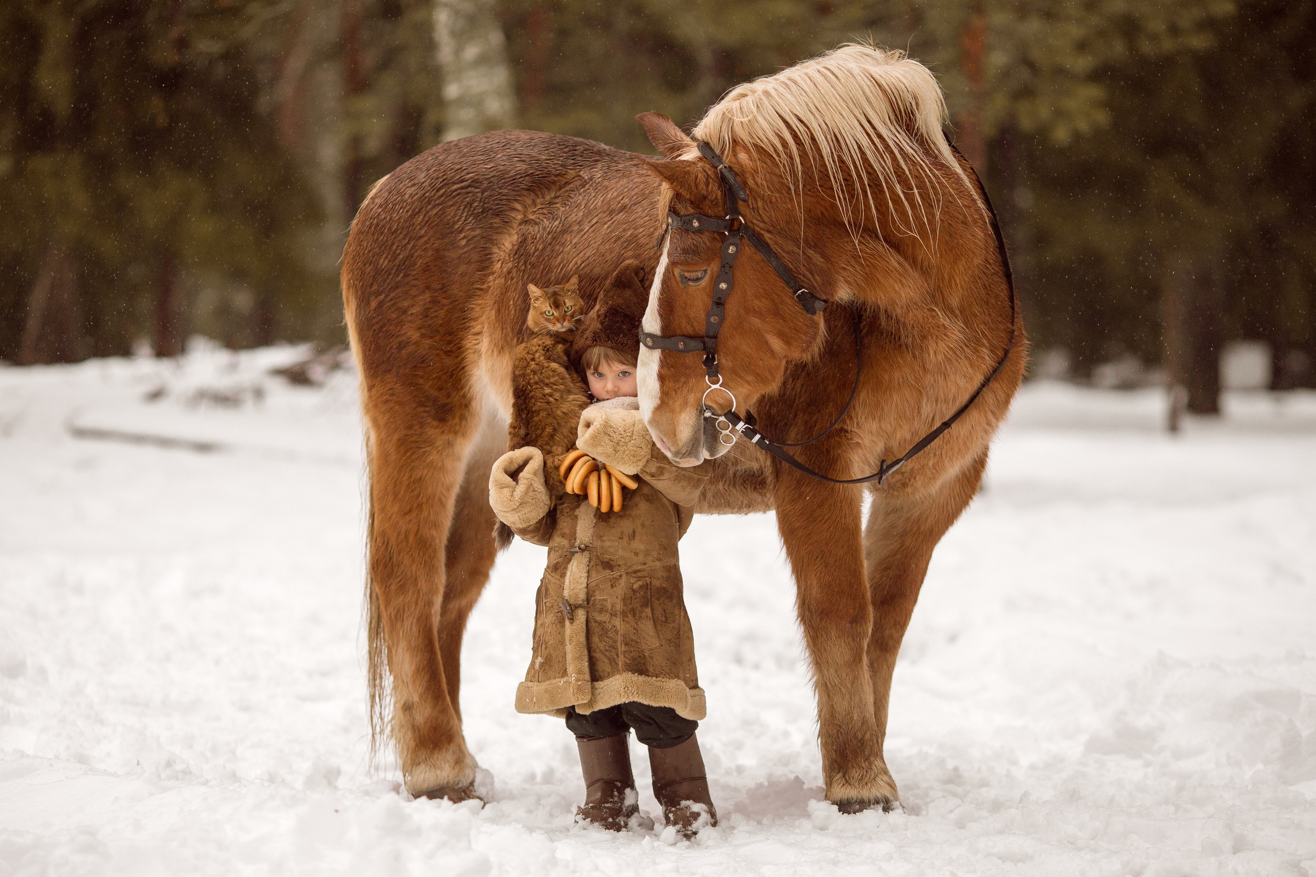 Фото мальчика и лошади зимой