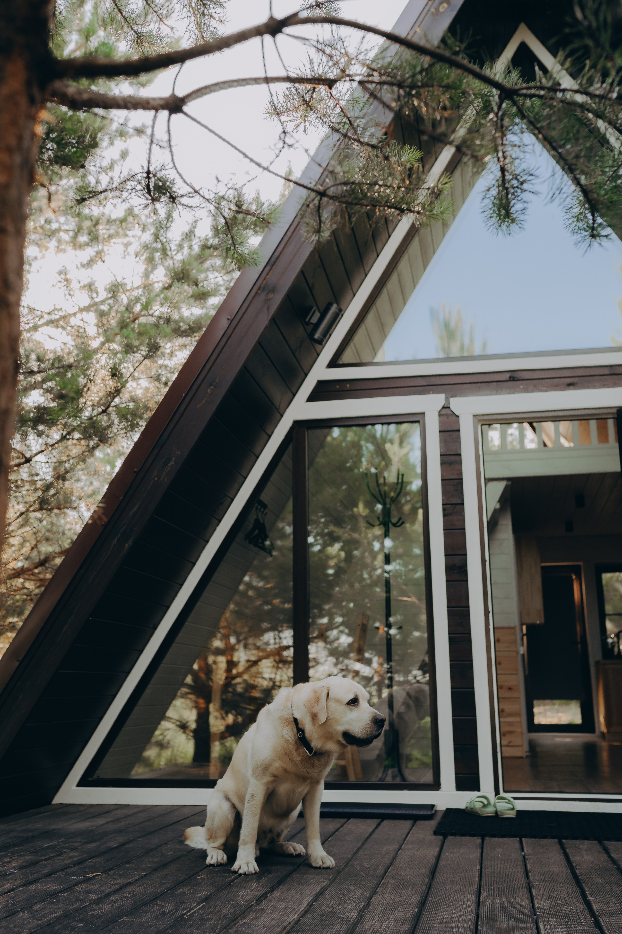 Глемпинг Шалаш. Фотограф Торопец Кристина Абрамова Kanwellia photography