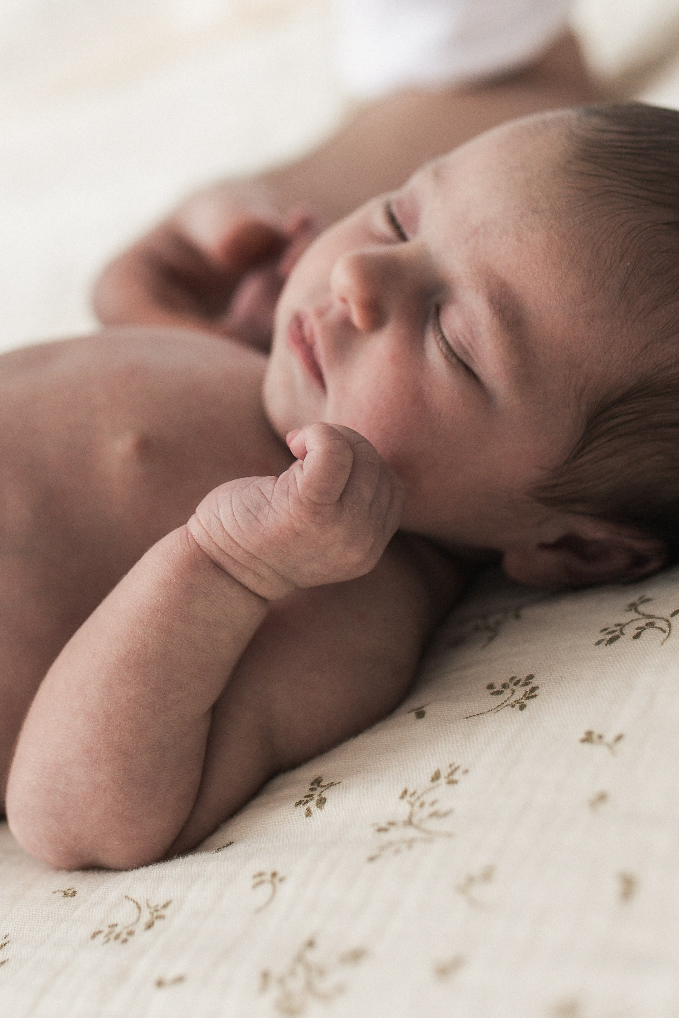 ньюборн краснодар