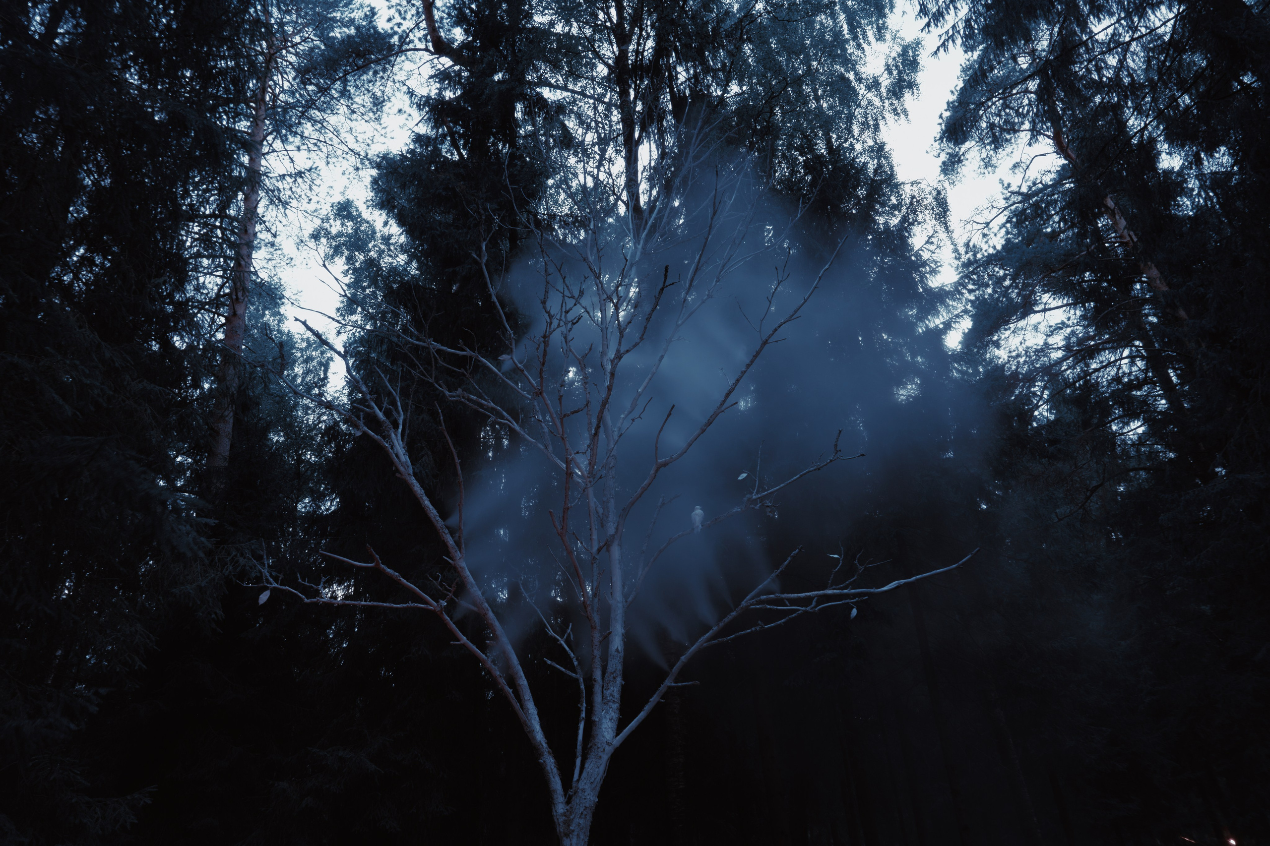 Outline 2024. @tomrus: Рустам Шагиморданов — фотограф