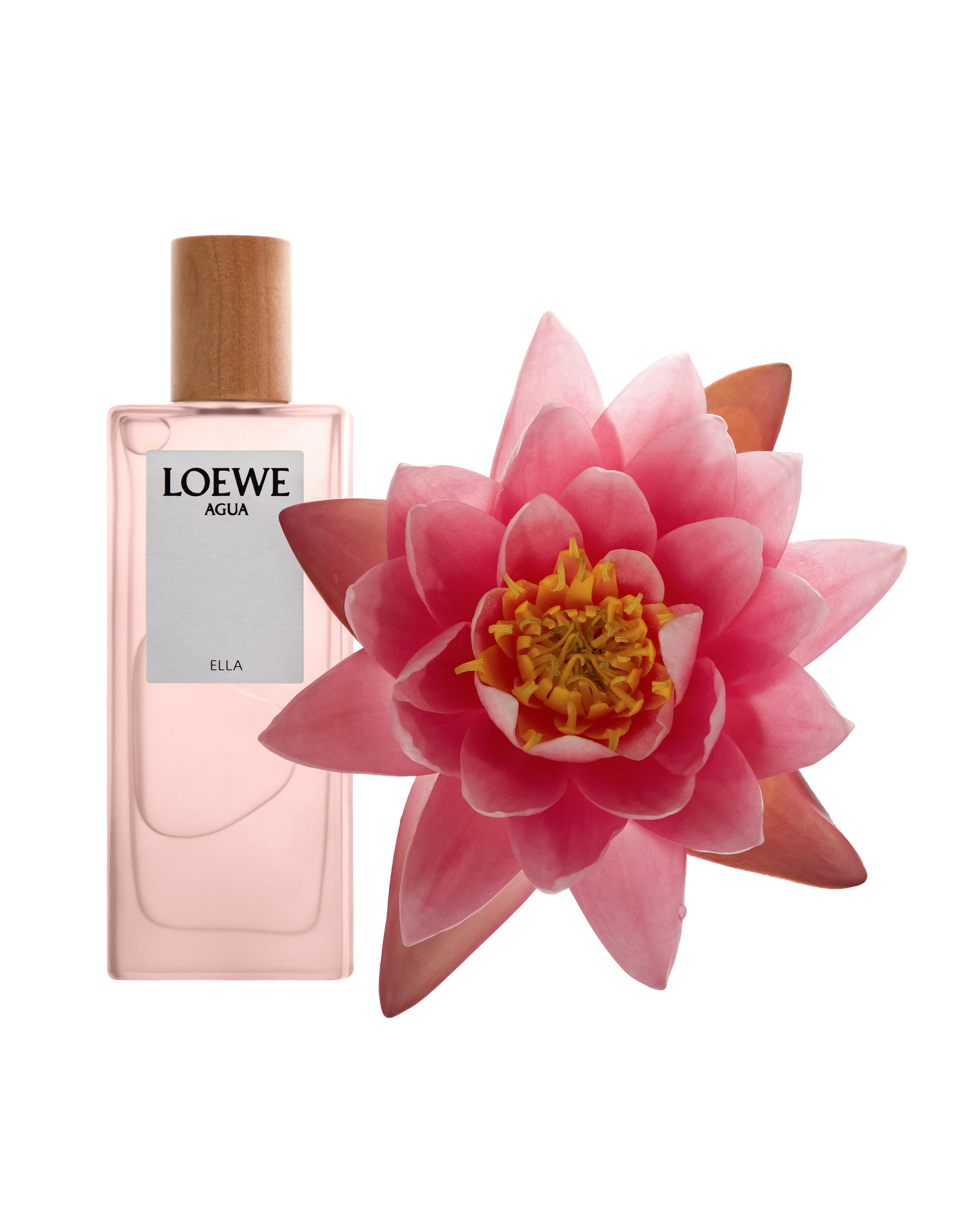 Product. Professional photo retouching