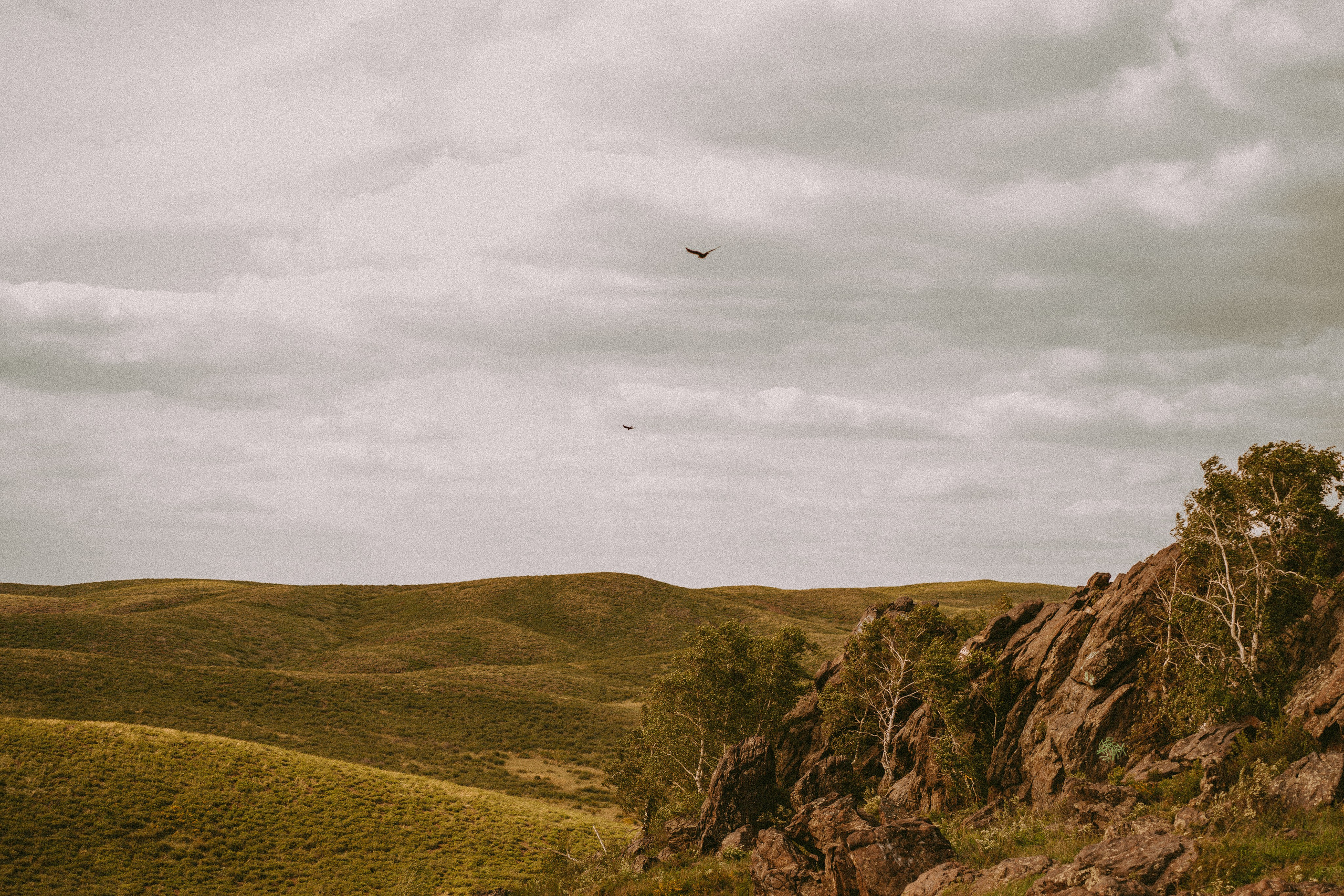 Дорога в облака. Семейный фотограф в Калининграде Елена Глазунова