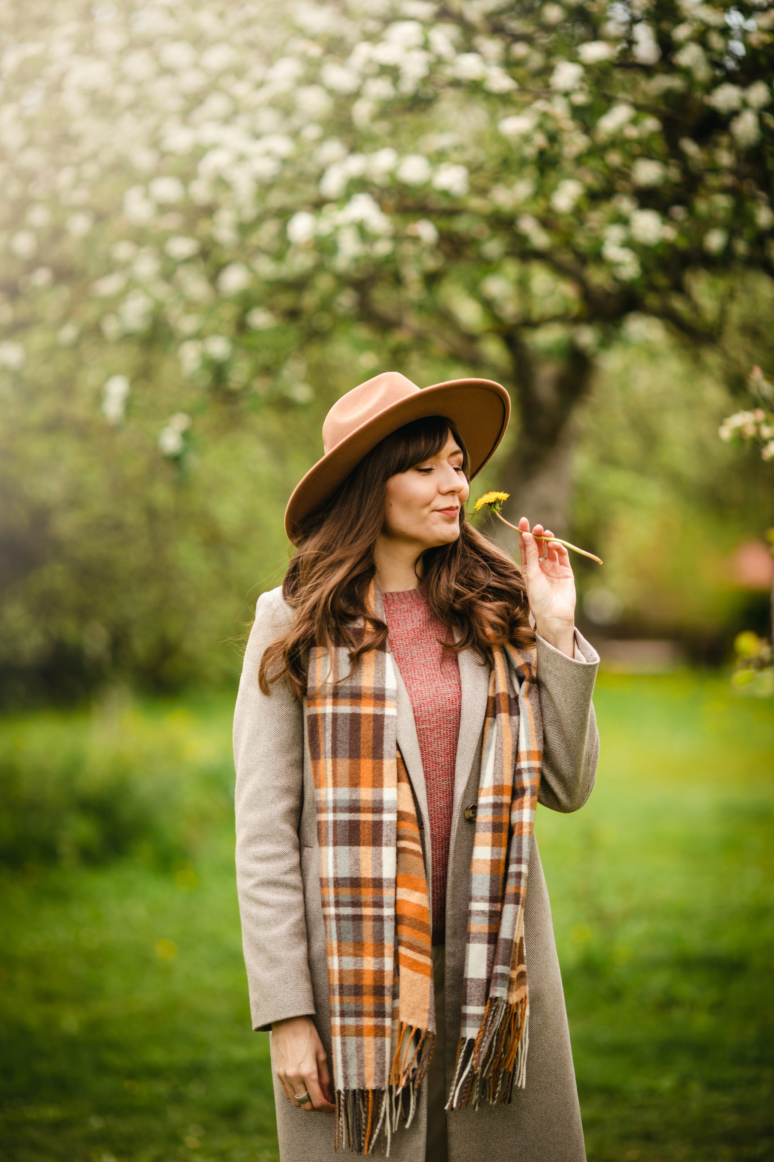 Яблони в цвету. Olga.filippova.photo