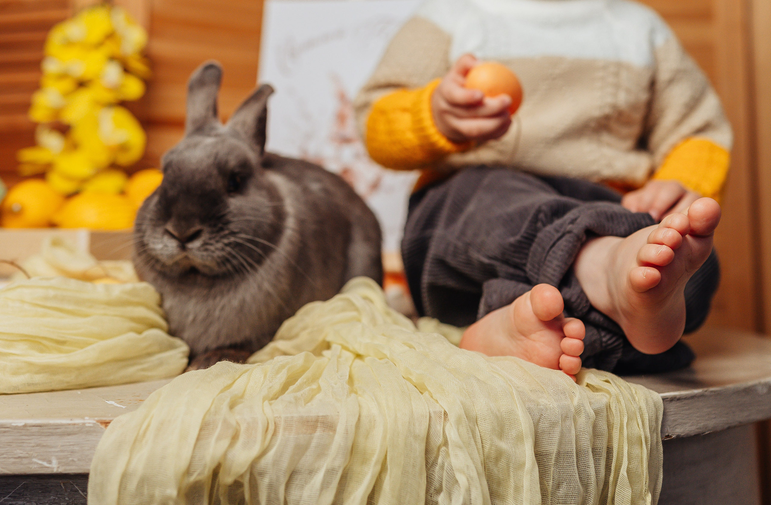 Кролики. Фотограф Исламова Лилия, Смоленск