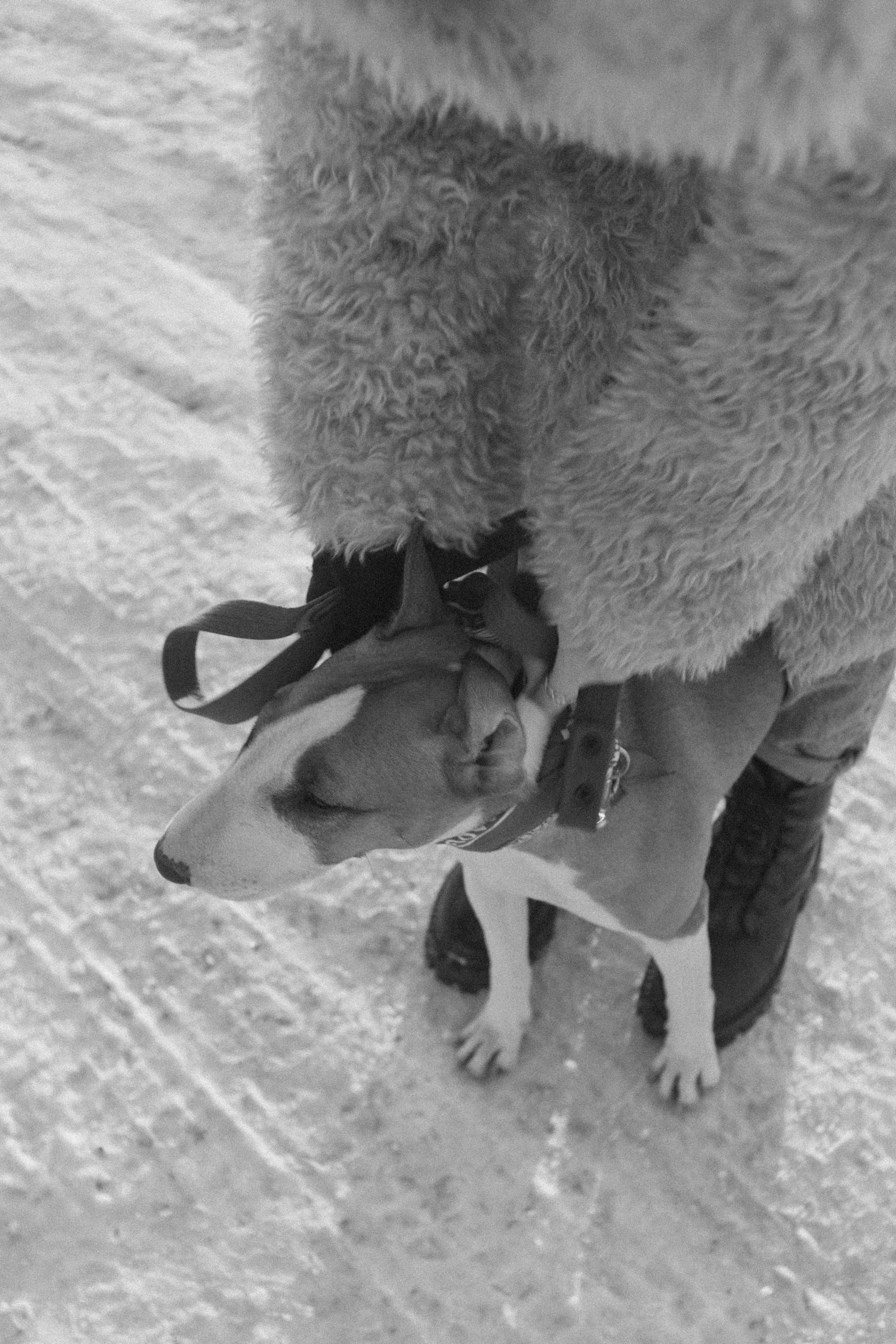 Булка. Евгения Арефьева — свадебный и портретный фотограф в Чите