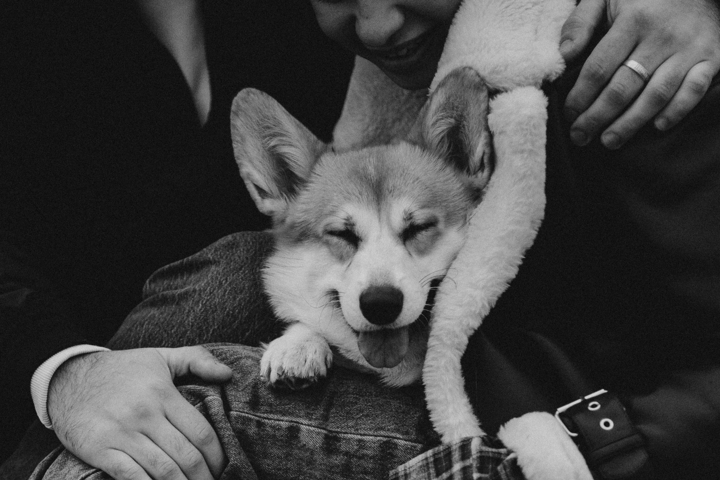 Настя, Никита и Мерси. Семейный и детский фотограф Красноярск Иркутск Денк Анна