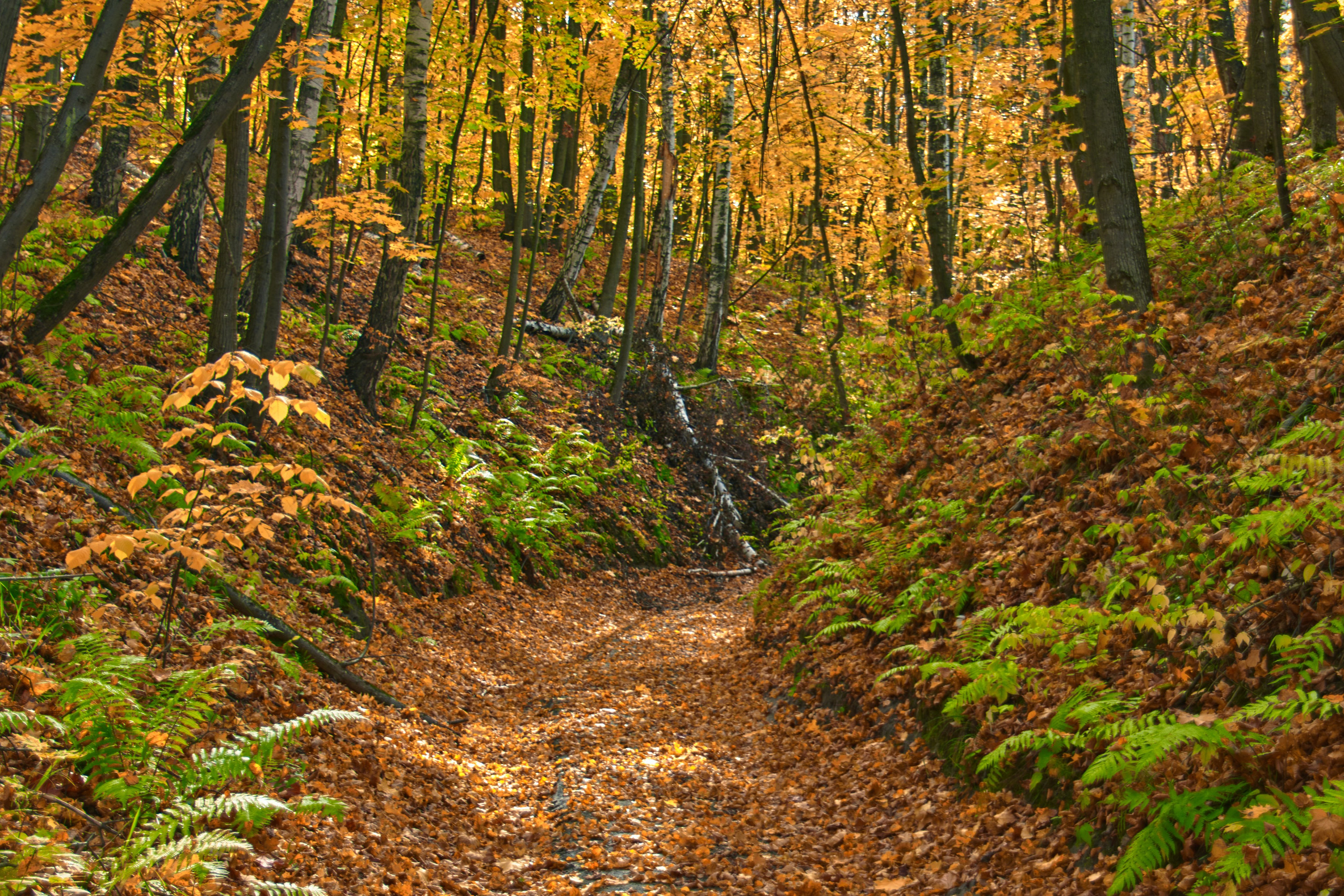 Пейзажная фотосъемка. Владимир Суздалов (ProMaXe) — Портретный фотограф, тематические фотосессии в Чебоксарах
