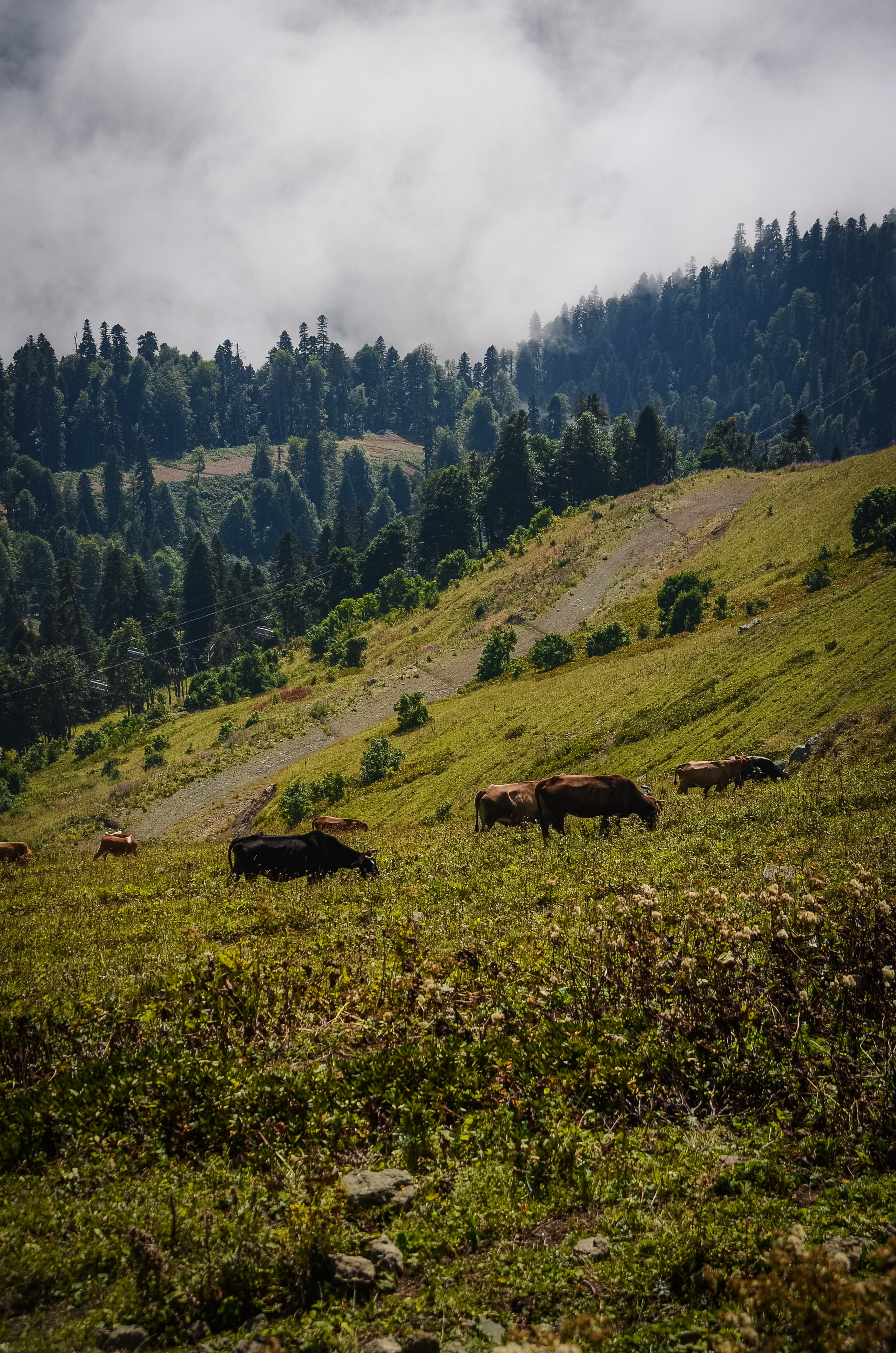 World. Фотограф в Санкт-Петербурге