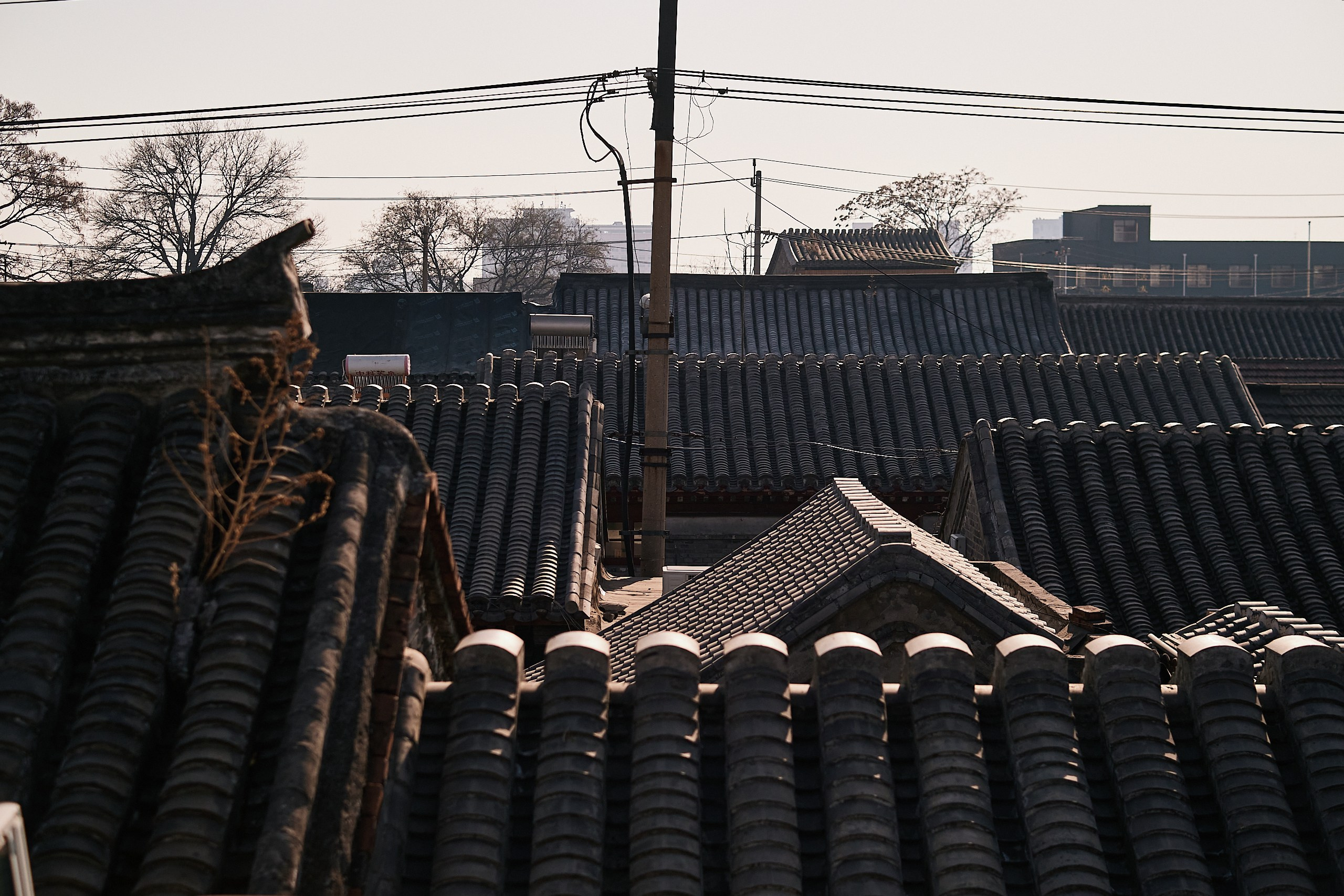 Архитекторы.РФ. Фотограф Артем Дербенев Москва