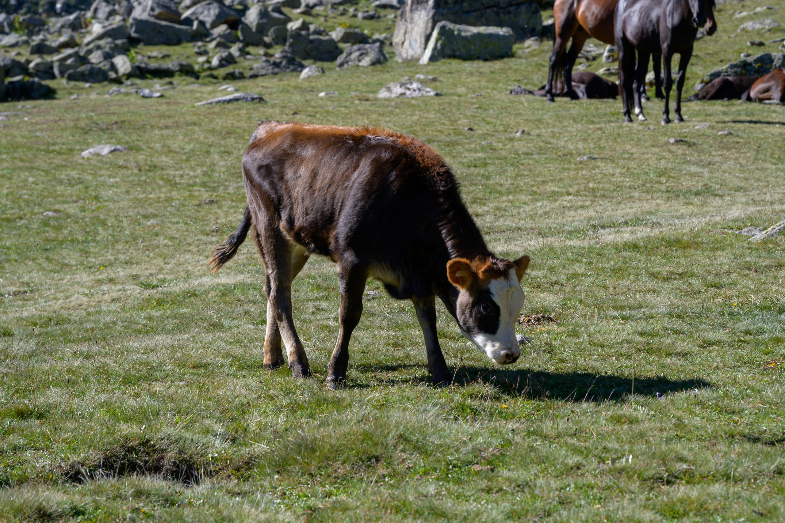 Экспедиция 2025