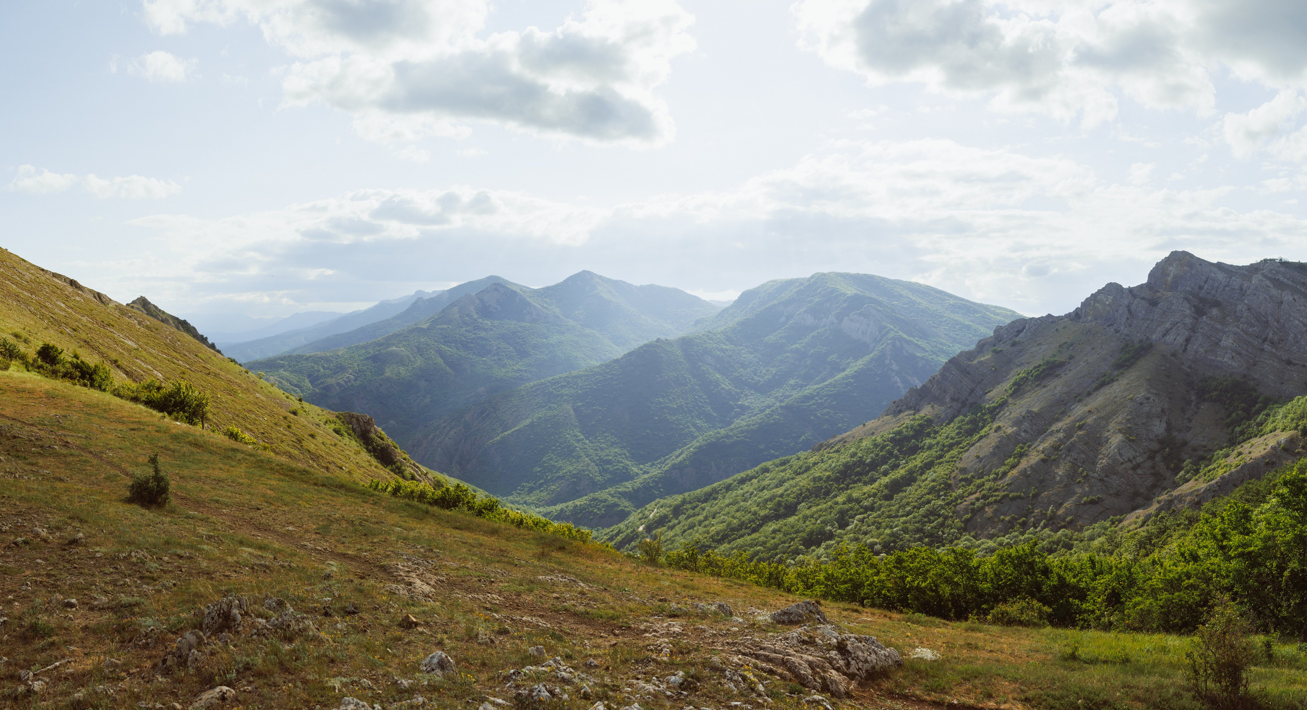 Nature. Артем Корнев Фотограф