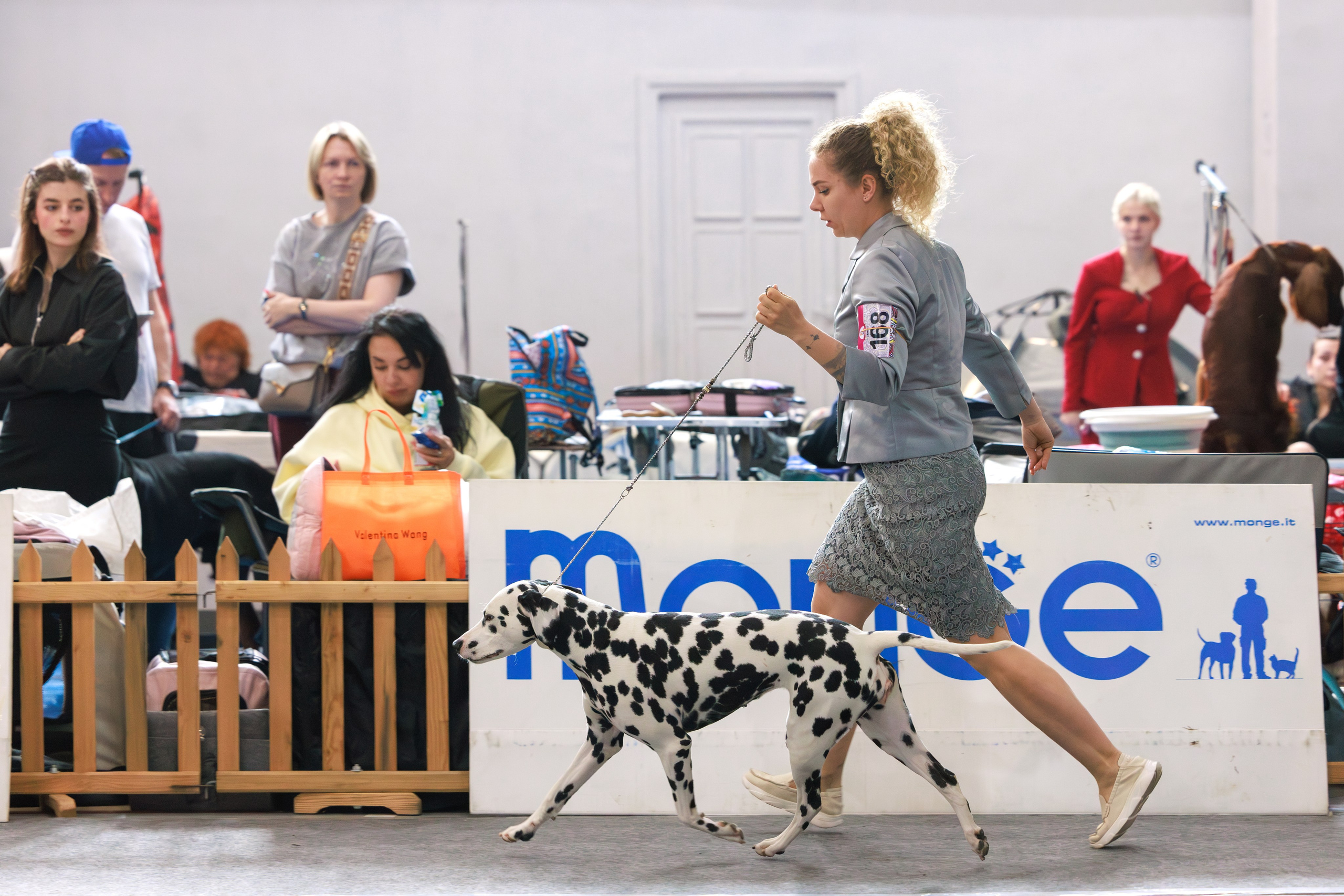 Ереван 2х CACIB 29-30.04.2025. Фотограф-анималист Юлия Германика