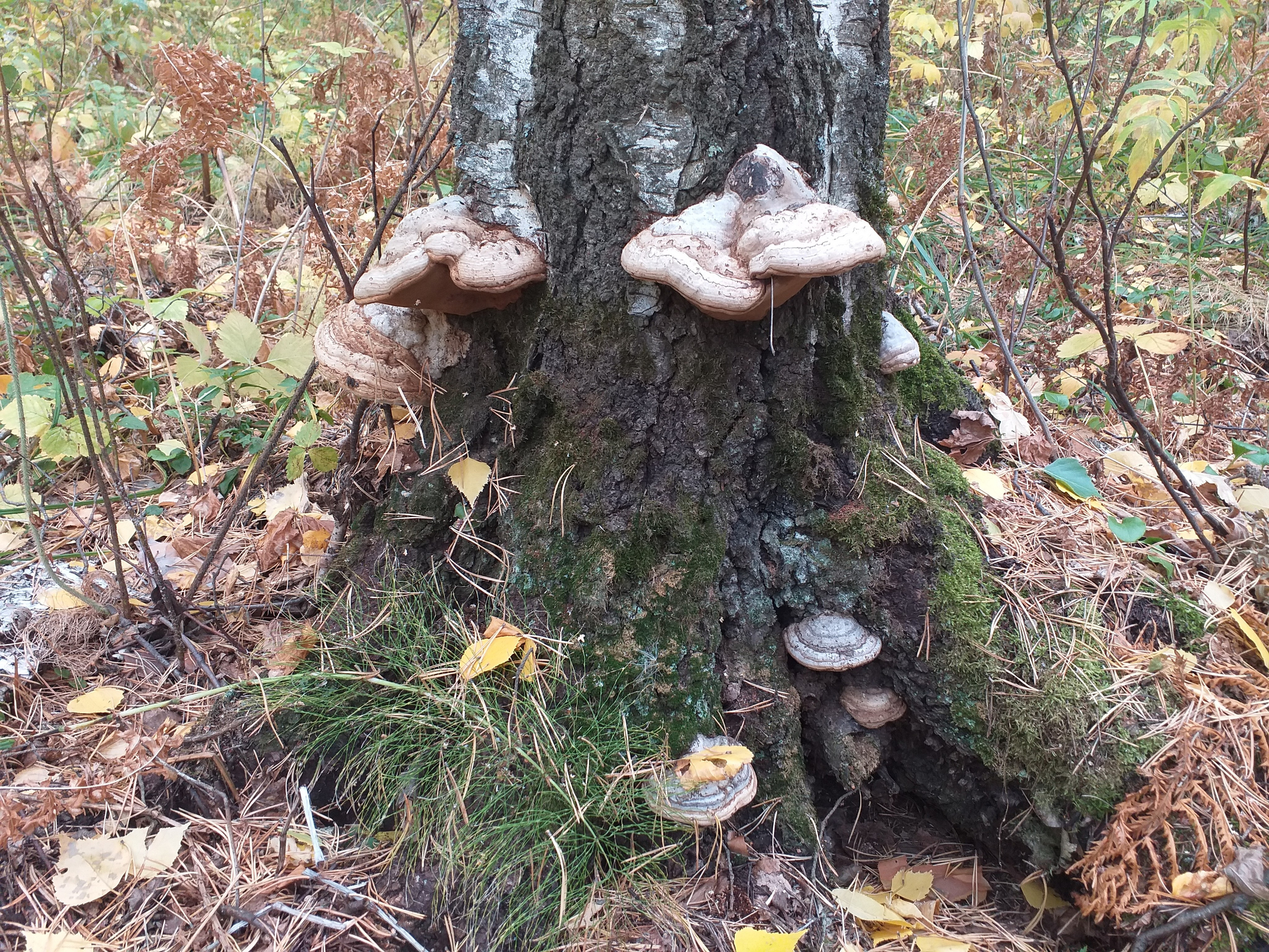 Боровое 2020 (из архива). Избранные фотографии