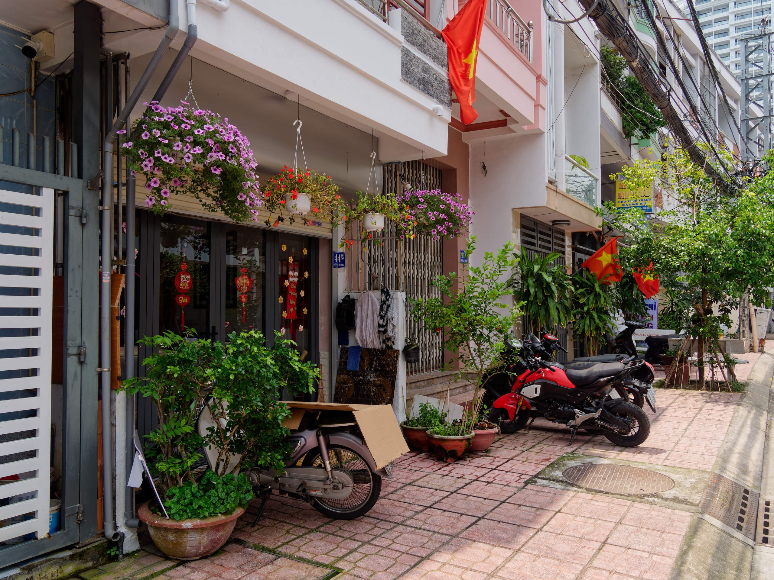 Нячанг 2025 (7). Избранные фотографии