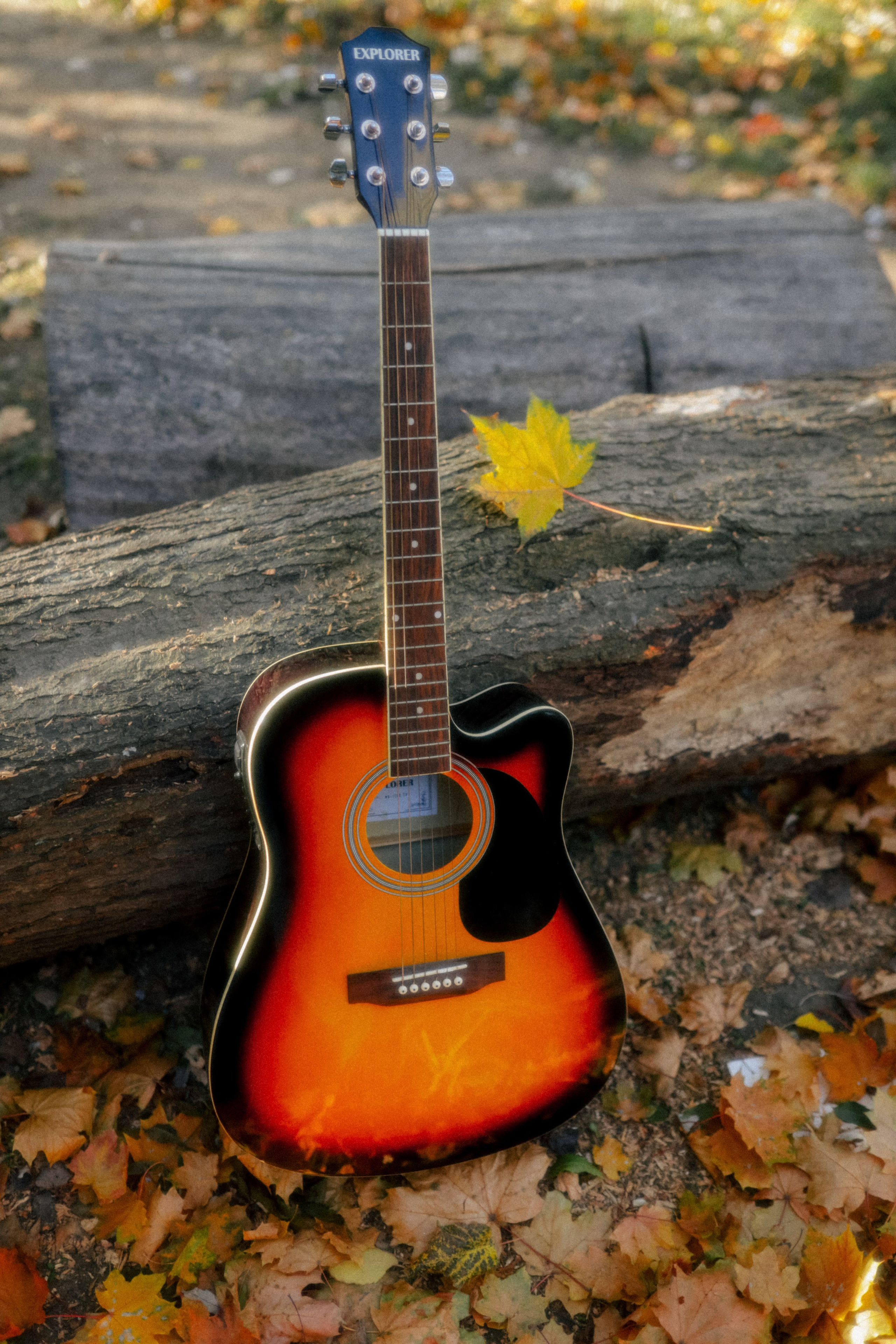 Осень в объятиях. Свадебный и семейный фотограф в Варшаве