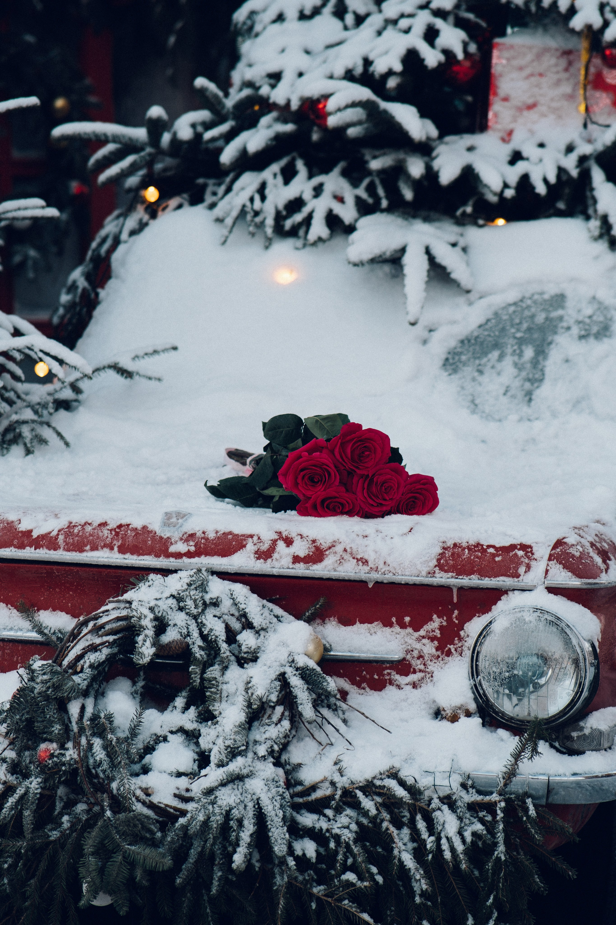 Холодно. Фотограф в Санкт-Петербурге Кристина Брянская