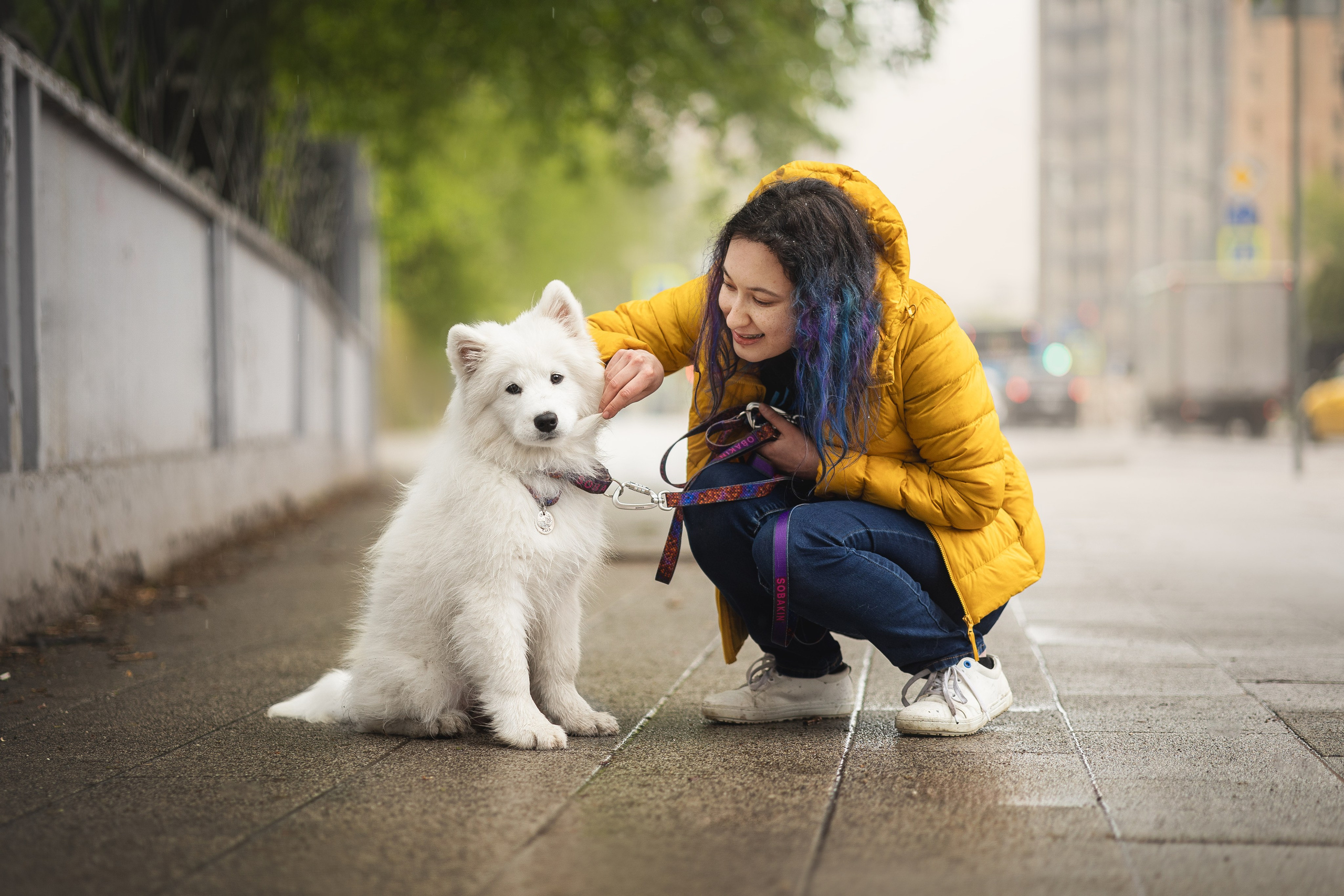 Кая и Даяна. Фотограф анималист в Москве Майорова Евгения