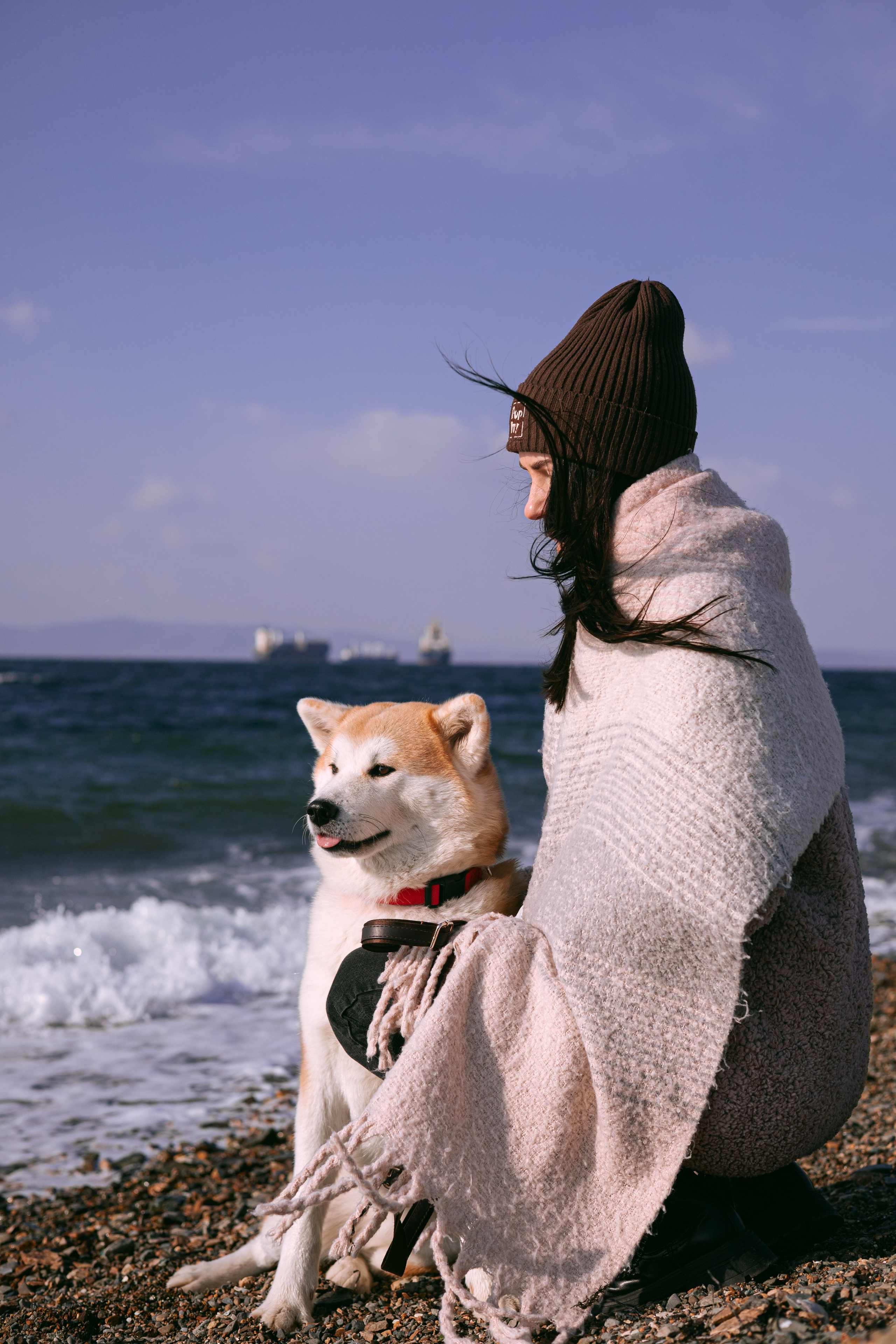 Мария и Бейла. Фотограф — анималист Владивосток, Алина