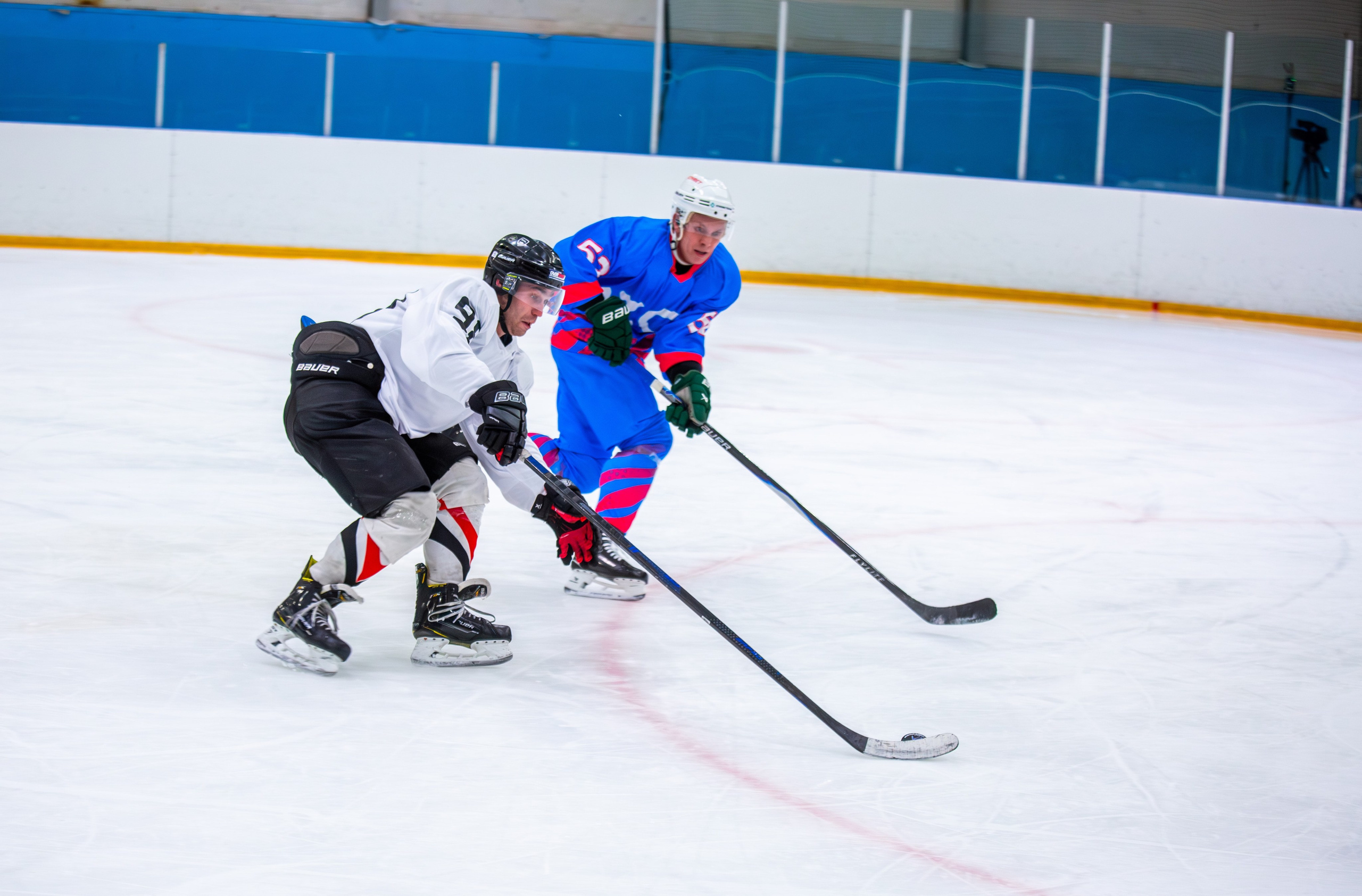 Чемпионат по хоккею. Репортажный, семейный, свадебный, портретный фотограф