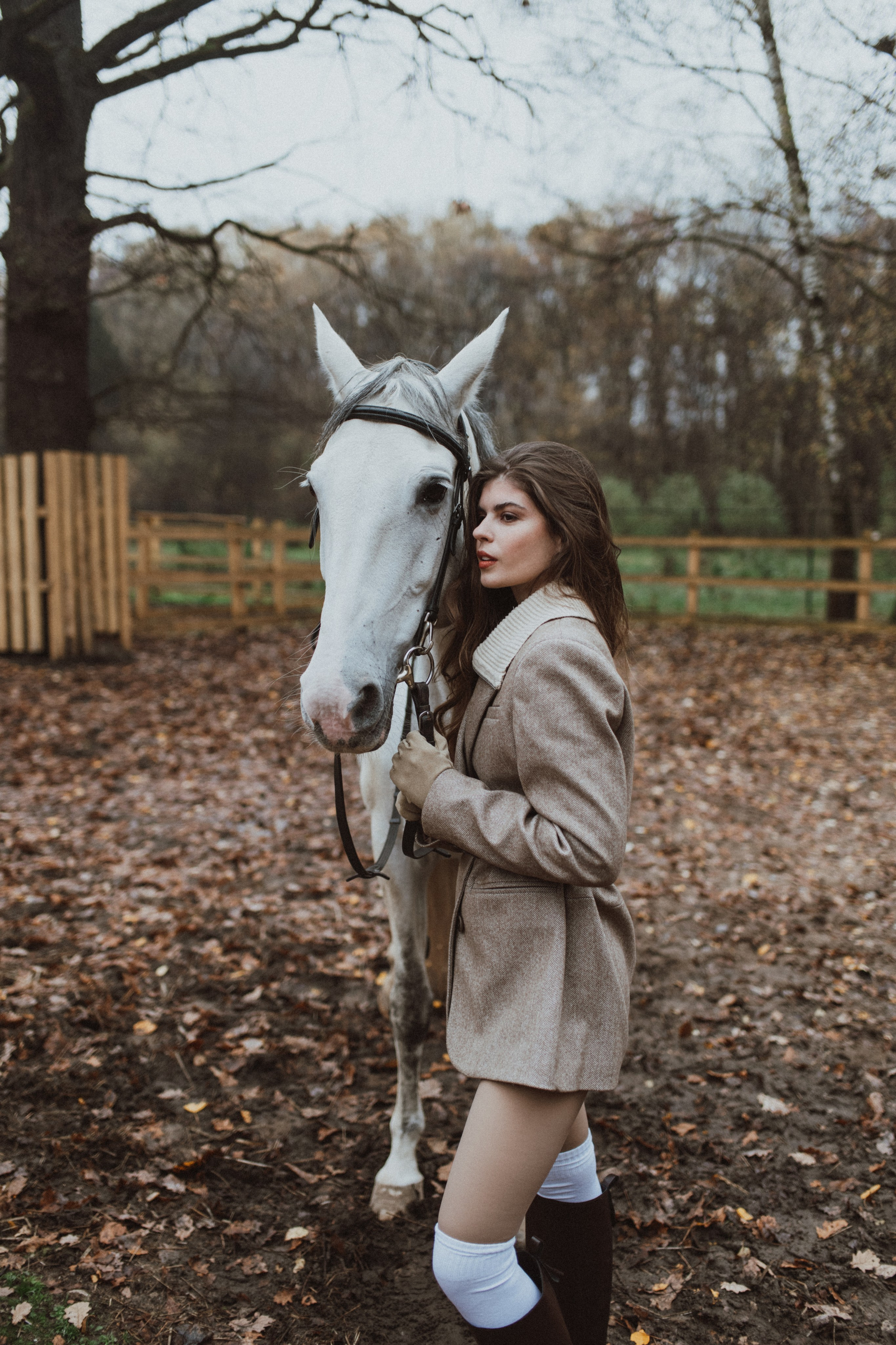 «Осенний ветер и грациозный скакун». Фотограф в Москве/Зарайске Шахова Марина