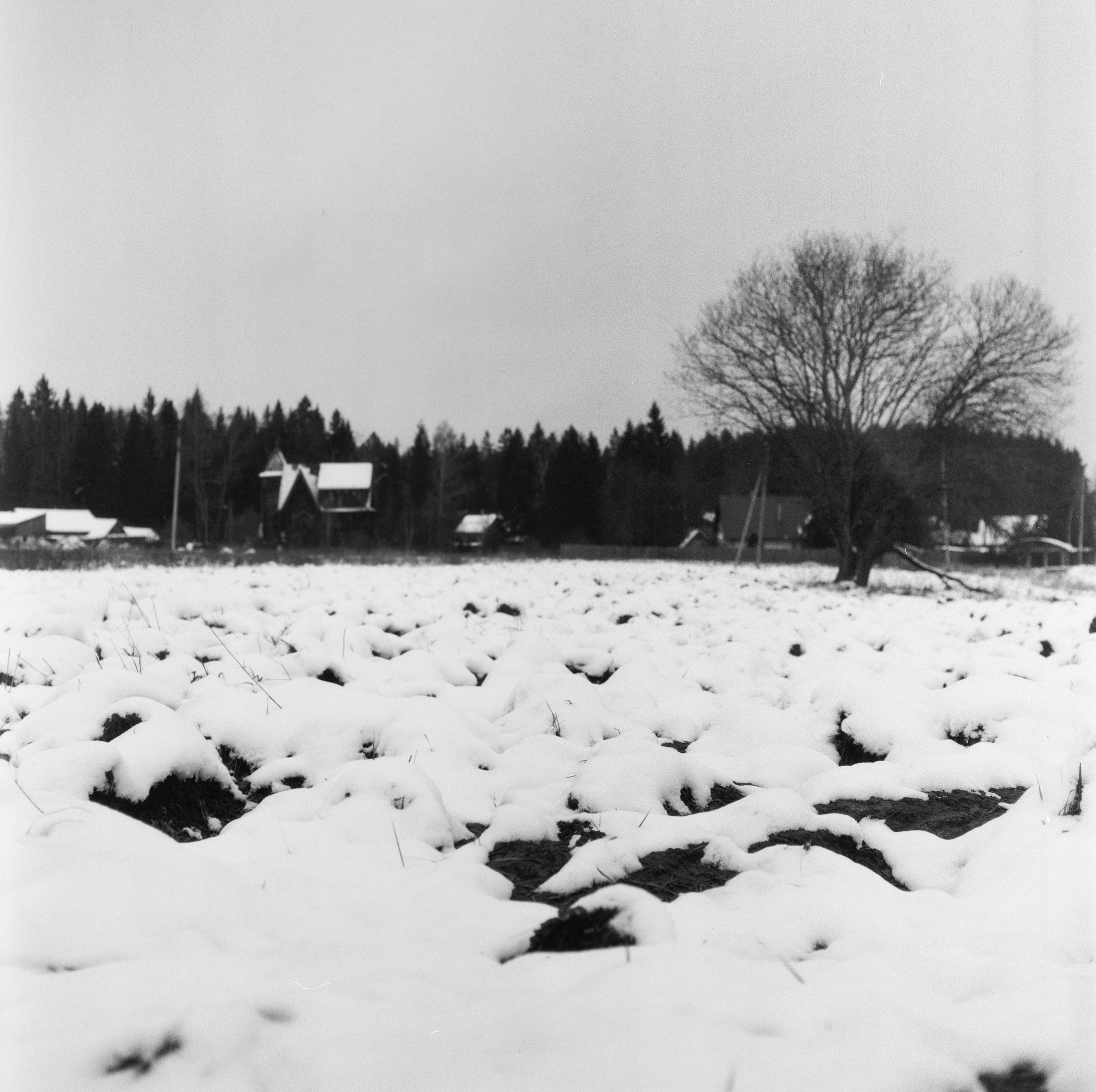 Kowa Super 66 — Kowa 85 mm f/2.8 / SFL Double-X Aerographic 400 (Kodak 2405)