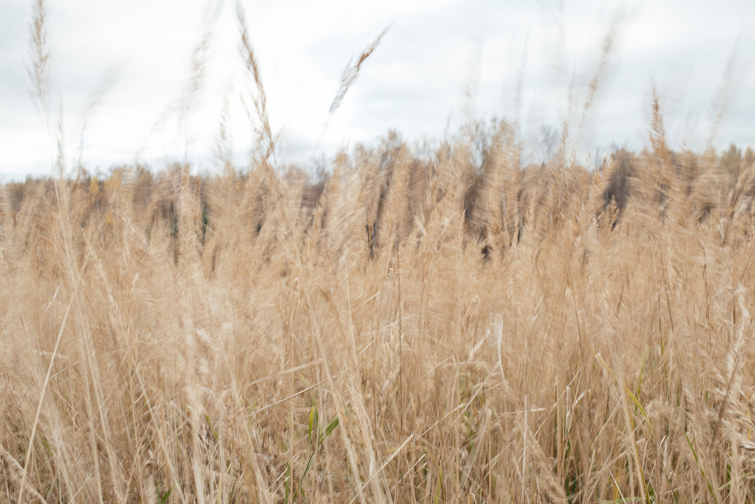 Семейные истории. Портретный и семейный фотограф в Геленджике Таня Ходова