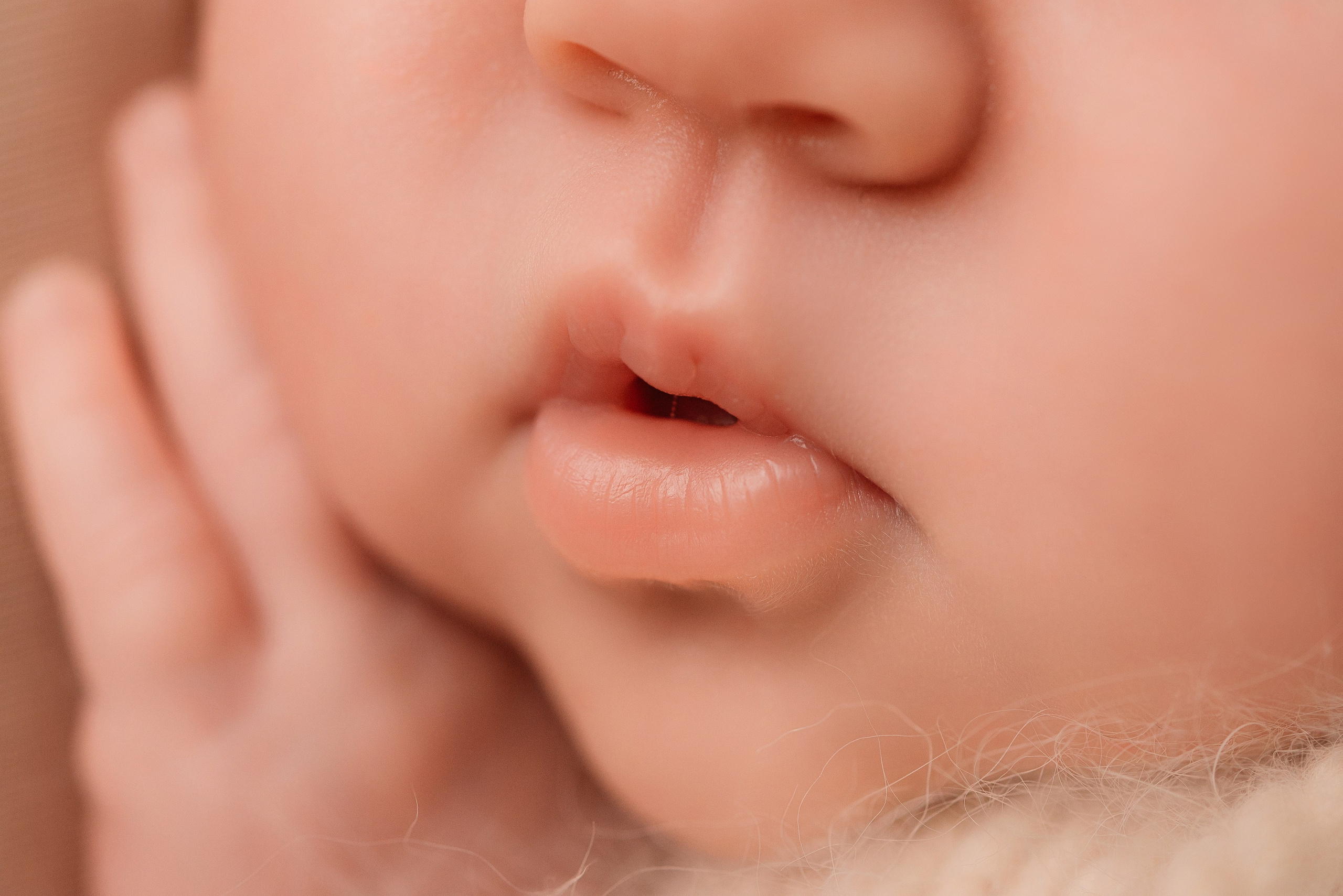 Лиза. Фотограф новорожденных Белгород