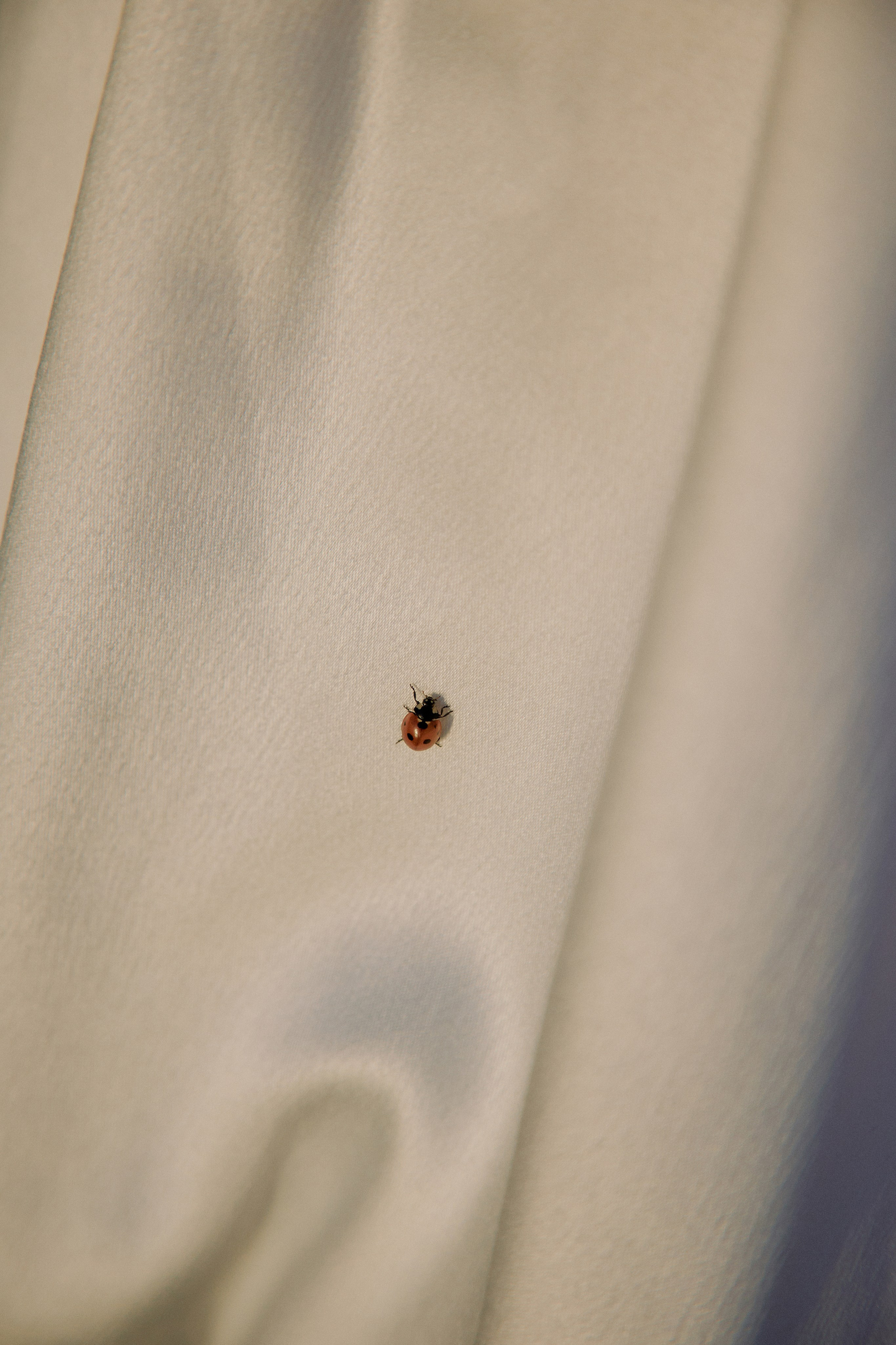 Унеси меня на закат. Фотограф Елена Краснопевцева