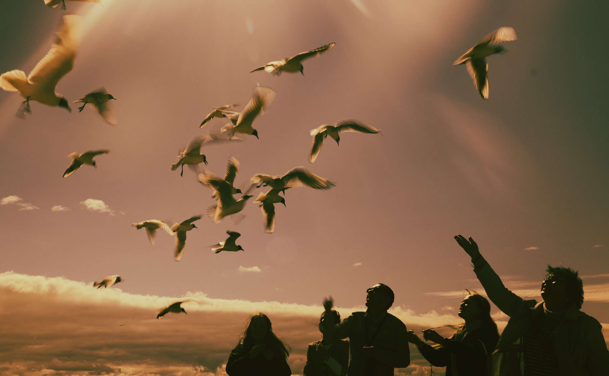 Under the dome. Photo project