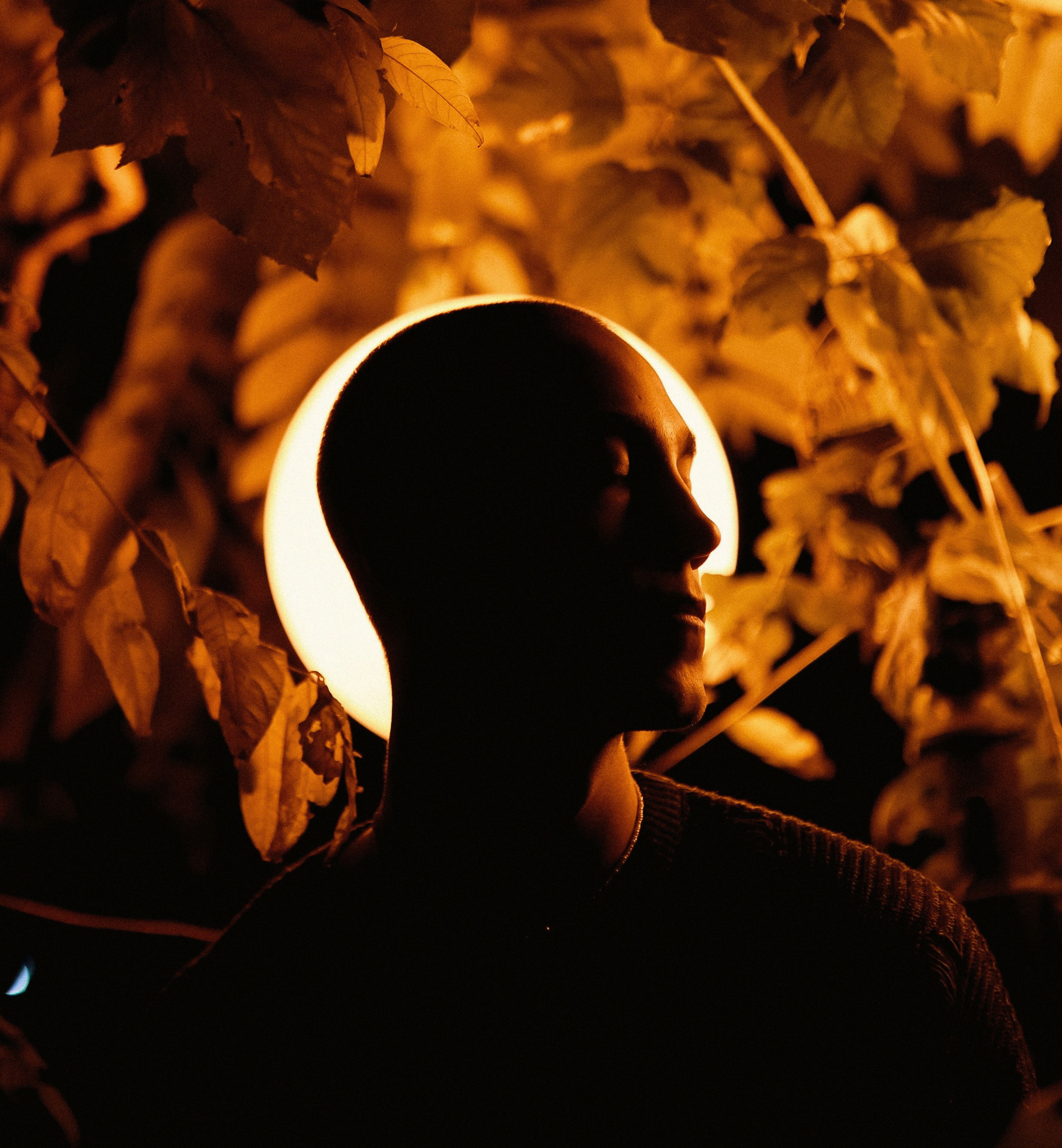 Faces in the night. Metelevphoto