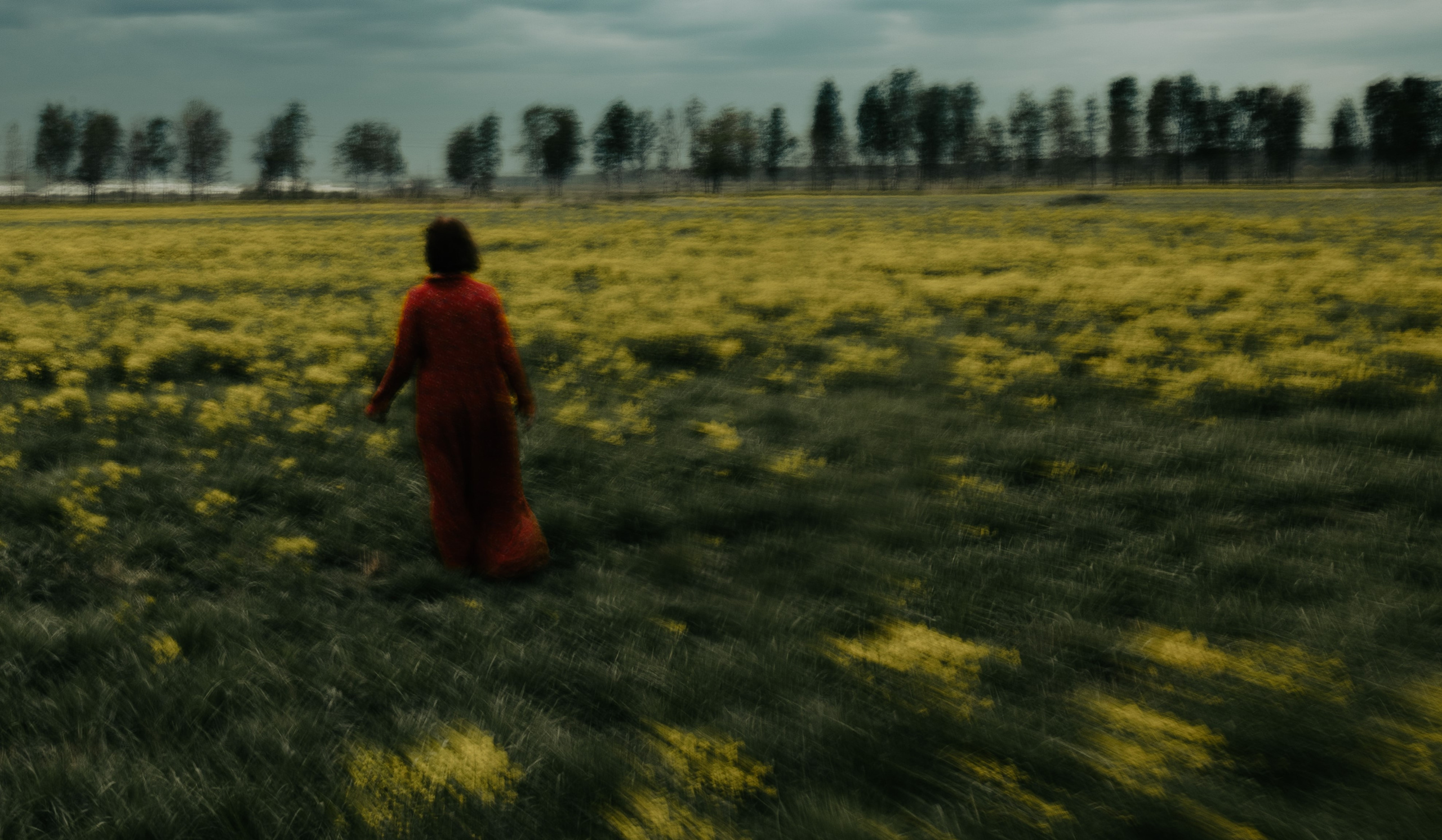 Beyond the line (colour). Metelevphoto