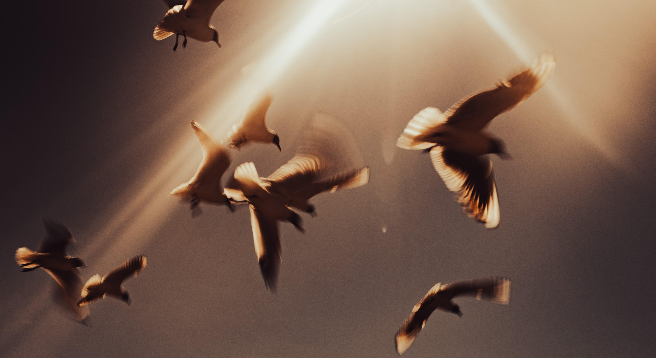 Under the dome. Photo project