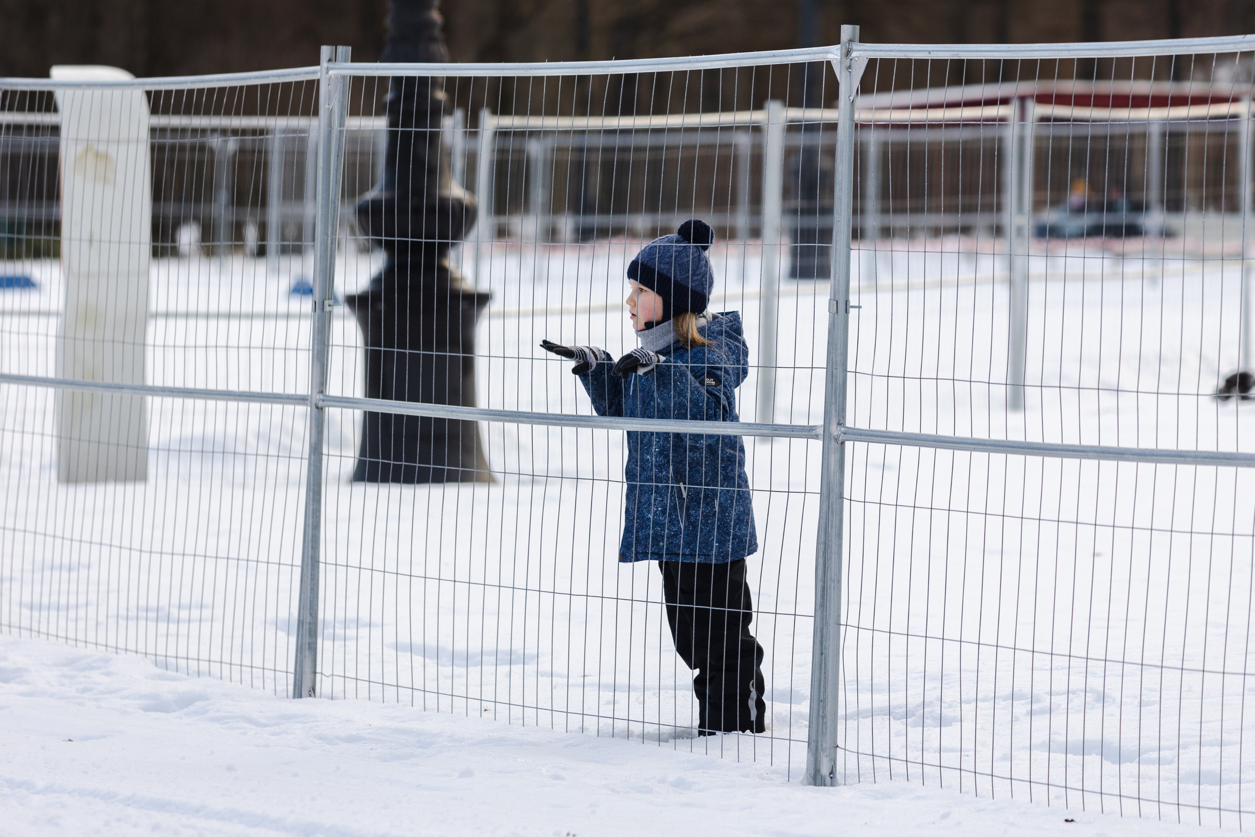 Лыжная гонка на Кубок Губернатора Санкт-Петербурга. Фотограф в Санкт-Петербурге