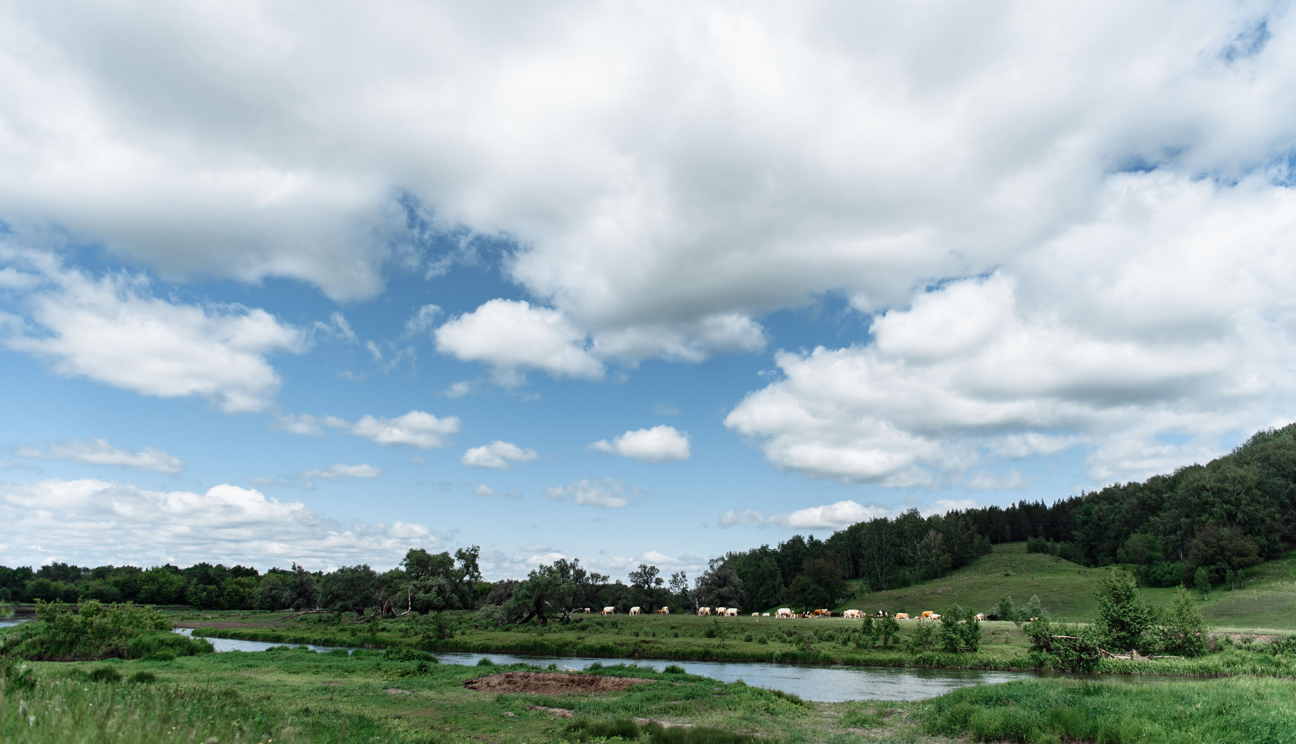 Свадебный фотограф Киргиз-Мияки, Миякинский район | Свадьба Ильназа и. Свадебный и семейный фотограф в Уфе | Винс Константин | Фотопроекты