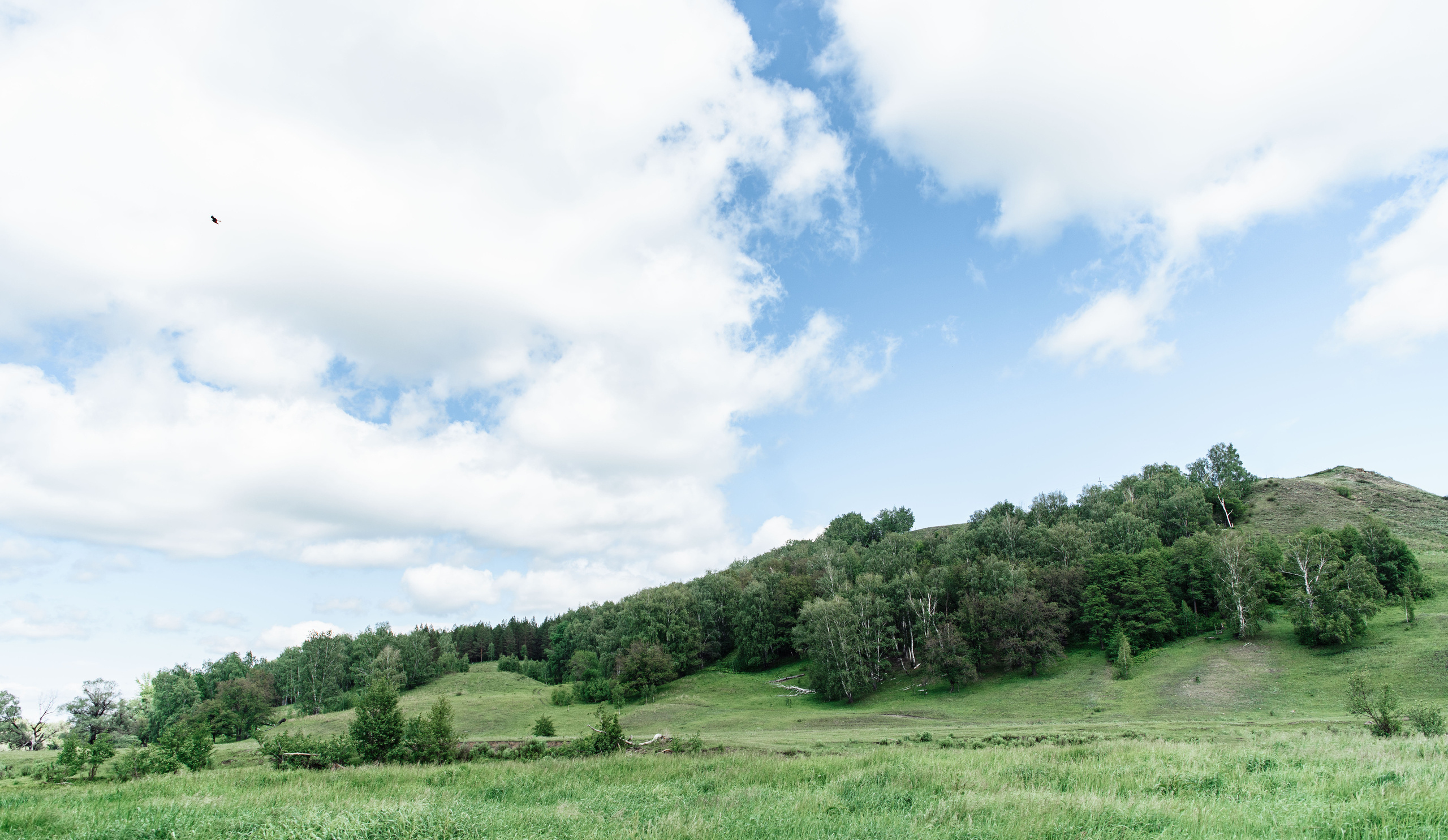 Свадебный фотограф Киргиз-Мияки, Миякинский район | Свадьба Ильназа и. Свадебный и семейный фотограф в Уфе | Винс Константин | Фотопроекты