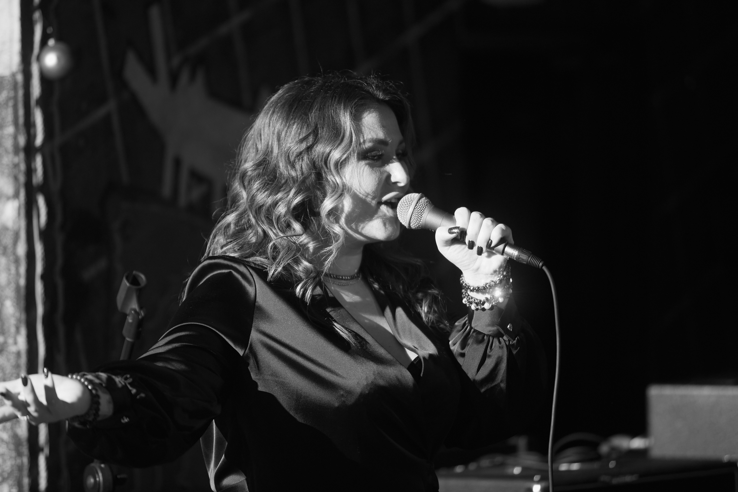 Сольный концерт Алёны Трофеевой в Москве. Свадебный фотограф Москва и Московская область Борисов Сергей