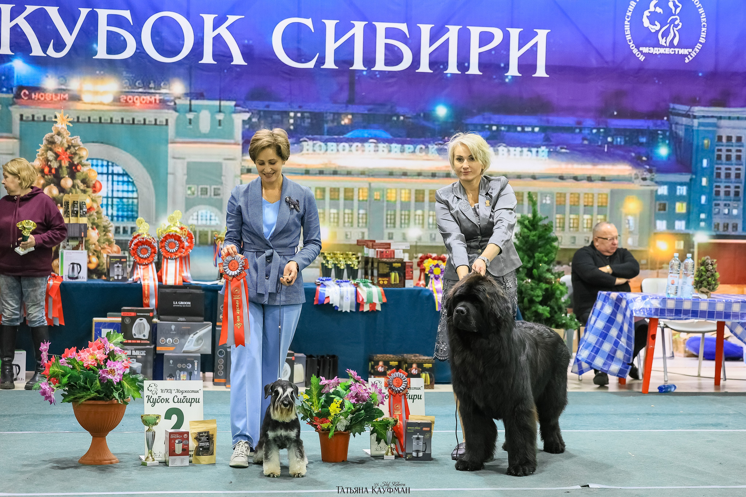 6-7.12.25 — 1-4 Национальные выставки собак в Новосибирске (2х рейтинговые). Фотограф Анималист из Новосибирска Татьяна Кауфман
